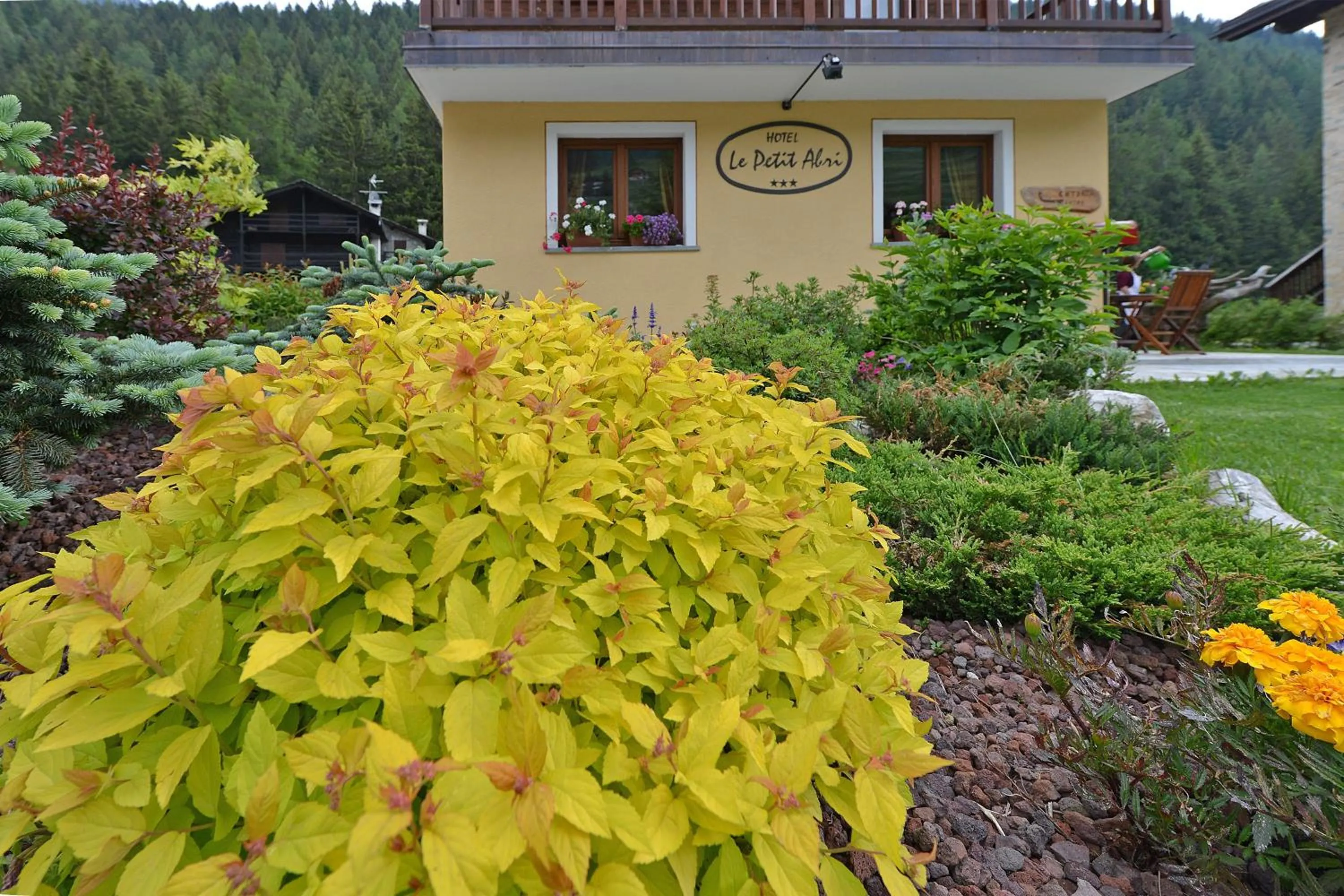 Garden in Hotel Le Petit Abri