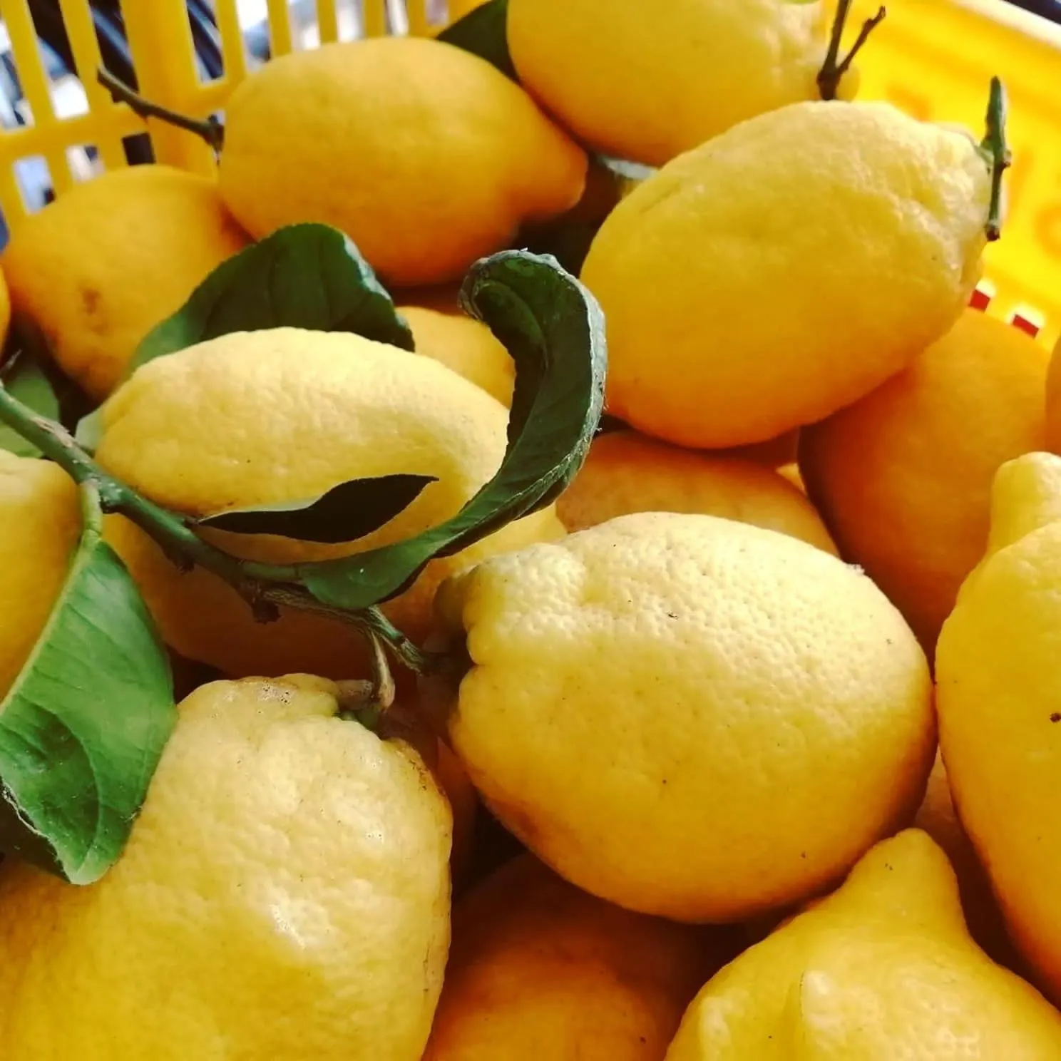 Property building in La Roccia Incantata Amalfi Coast