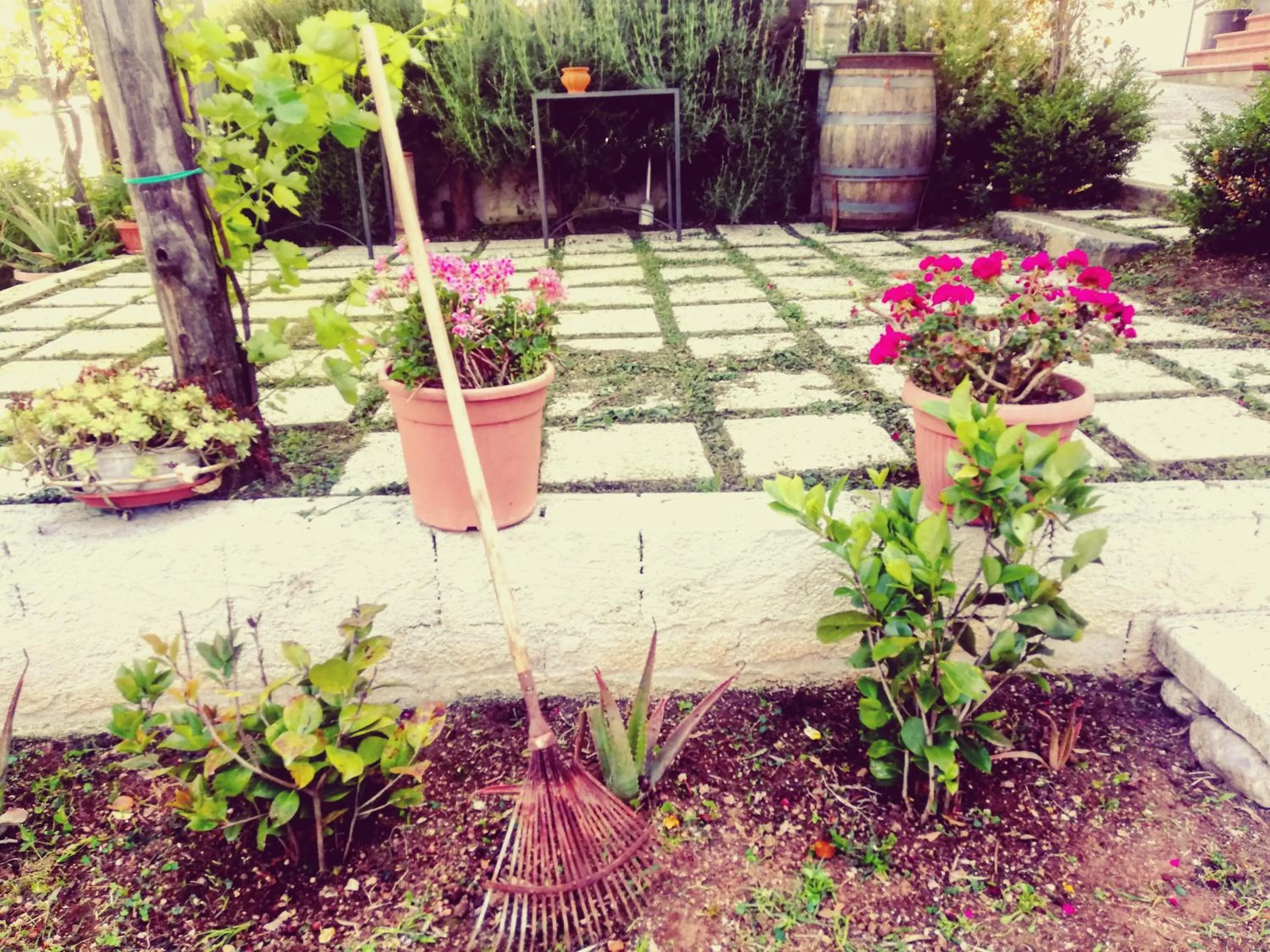 Patio in La Roccia Incantata Amalfi Coast