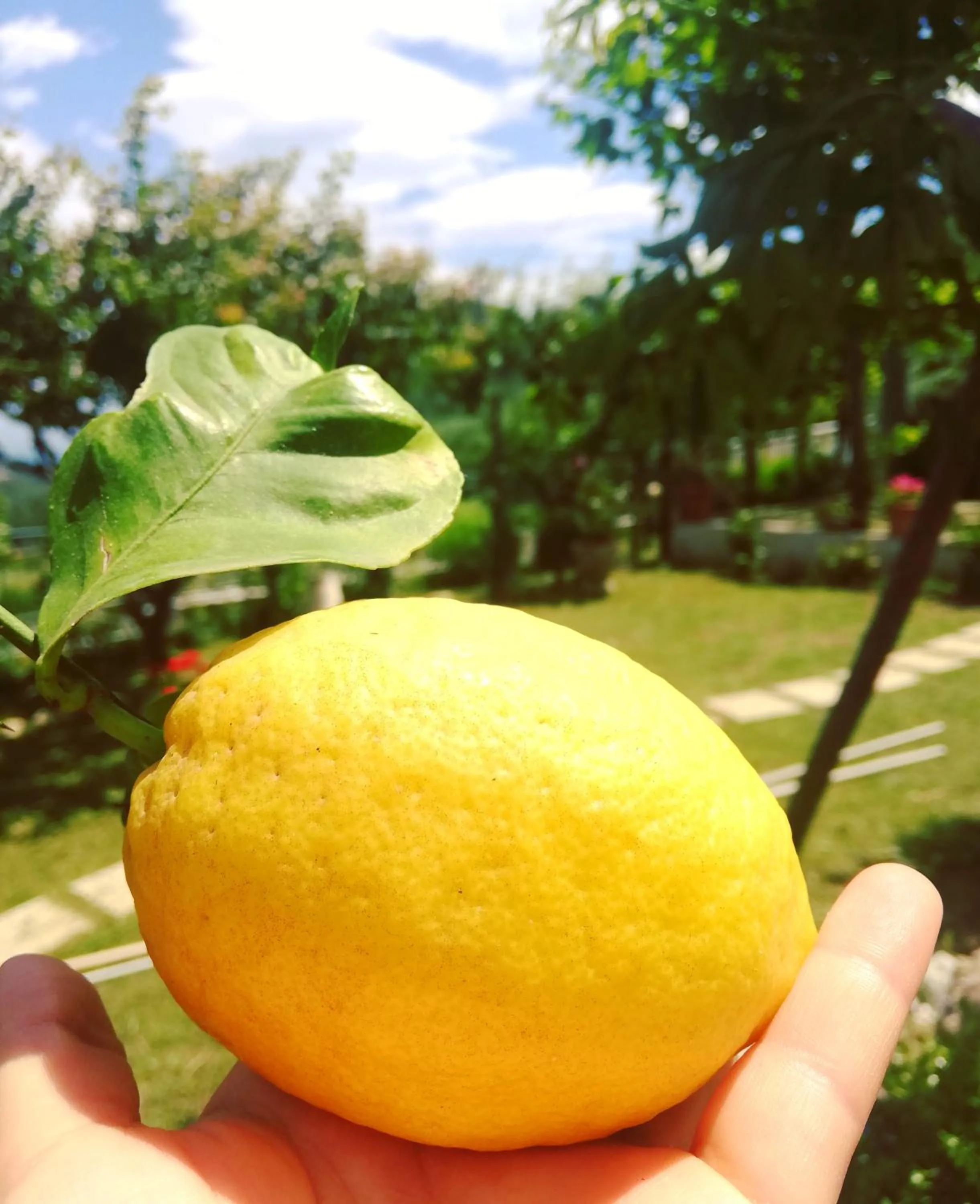 Garden in La Roccia Incantata Amalfi Coast