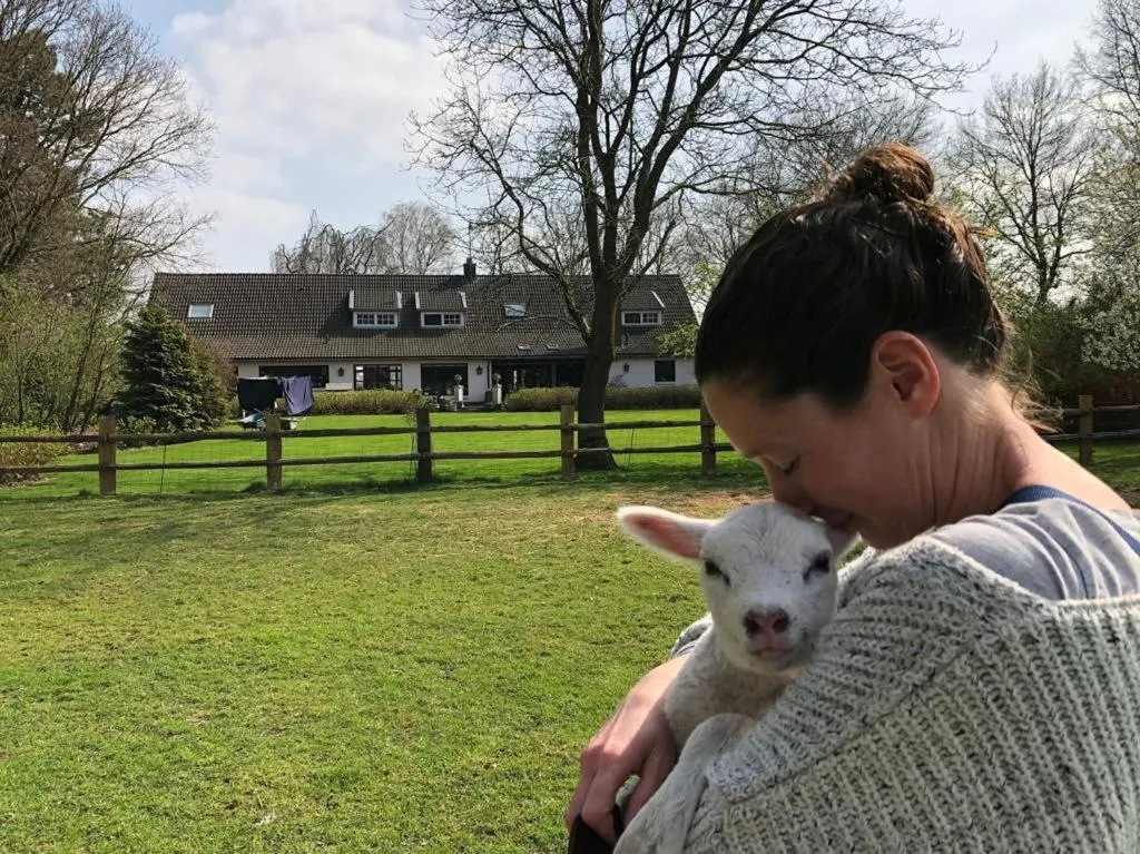 Het geheim van Merselo