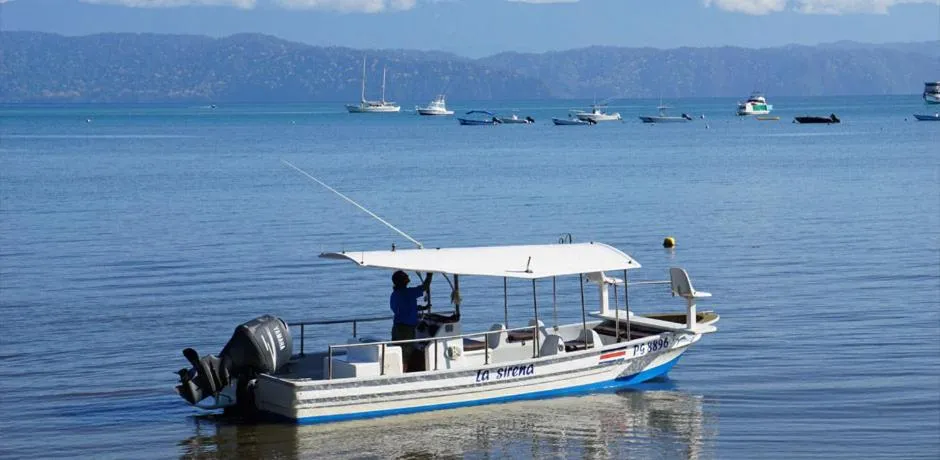 Property building in Cabinas Jimenez