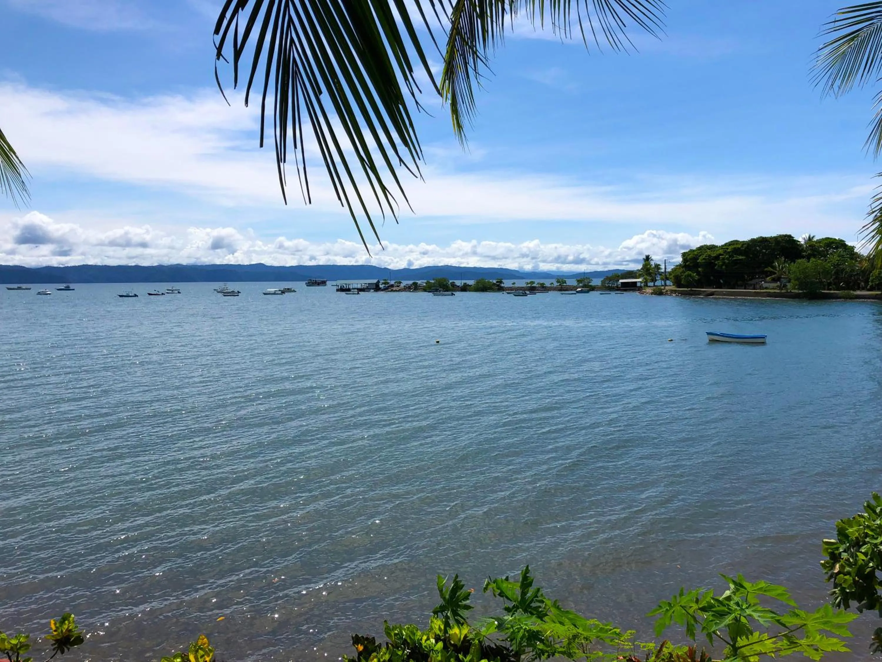 Natural landscape in Cabinas Jimenez