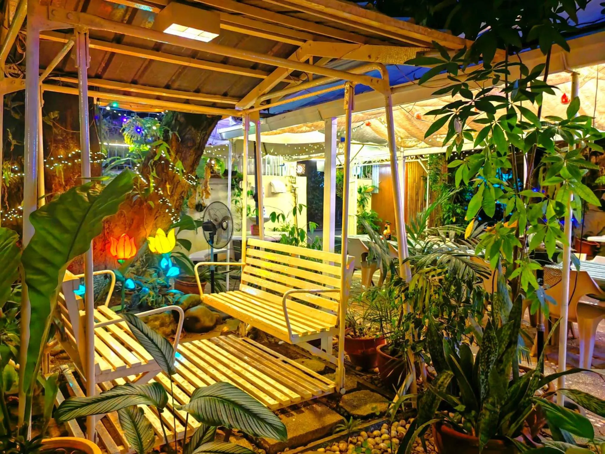 Garden in Villa Viva Belgica