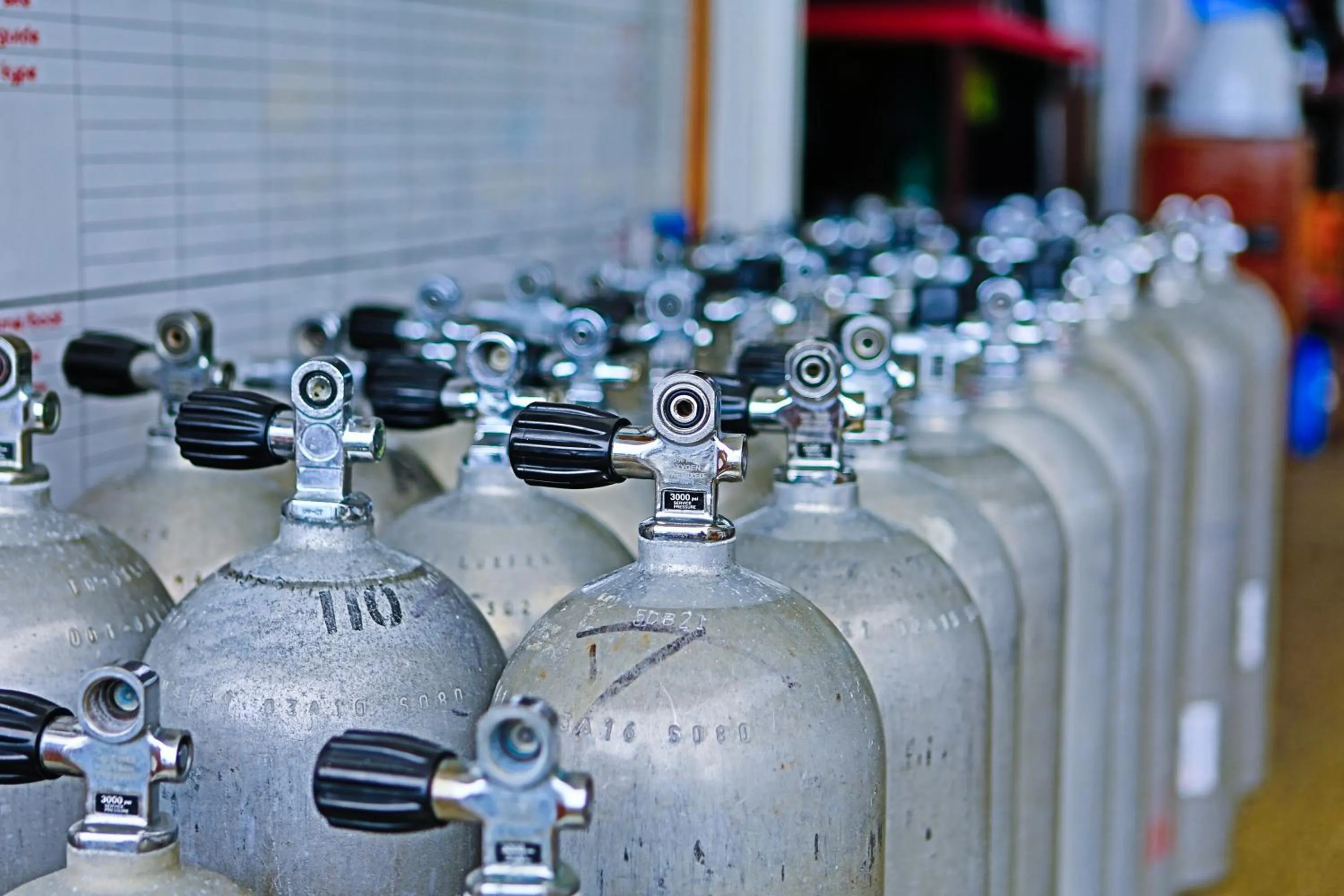 Diving in Arkipelago Divers and Beach Resort