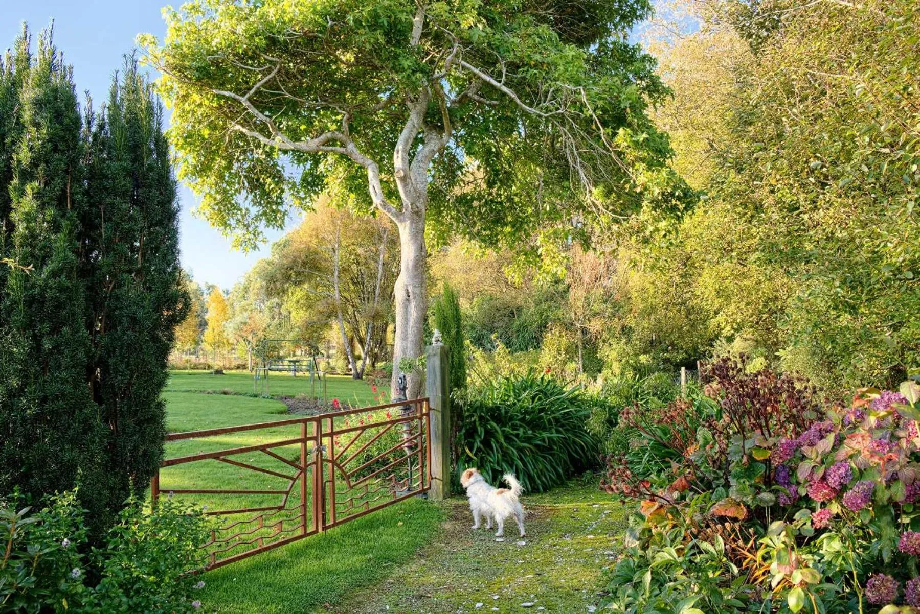 Other in Folster Gardens Bed and Breakfast