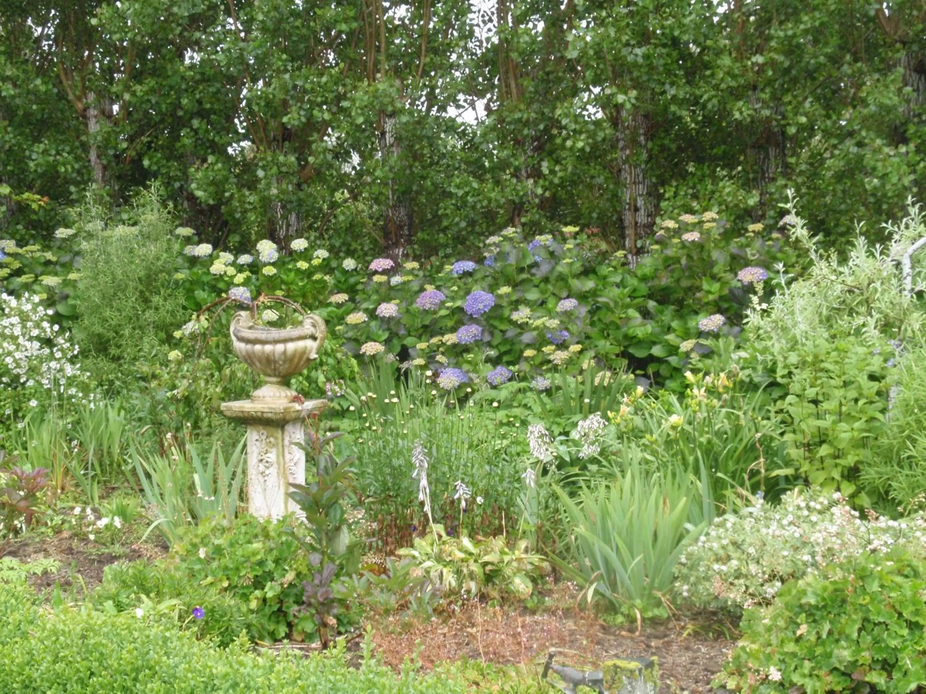 Other in Folster Gardens Bed and Breakfast