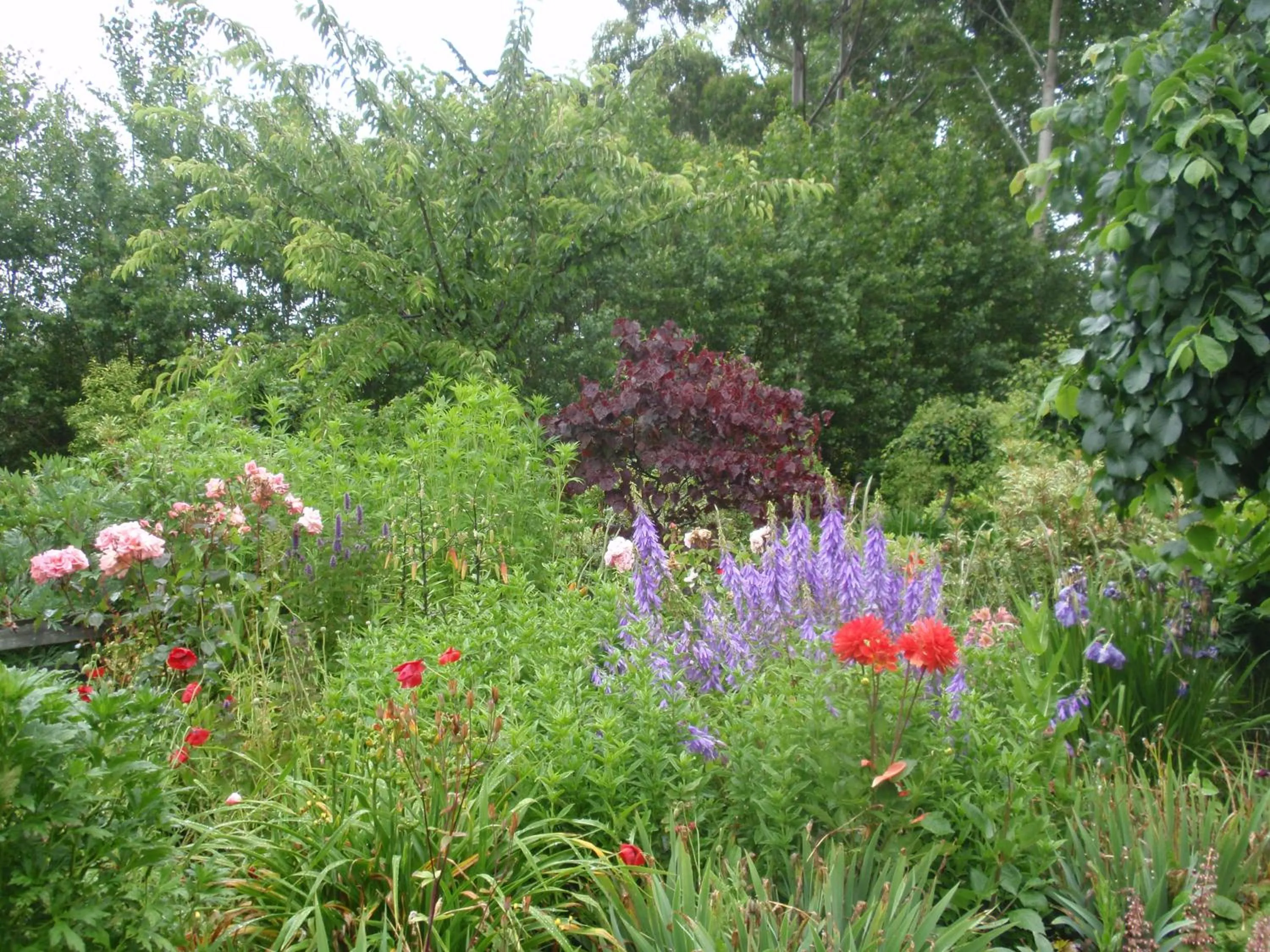 Other in Folster Gardens Bed and Breakfast