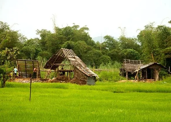 Neighbourhood in Gem Field Rest