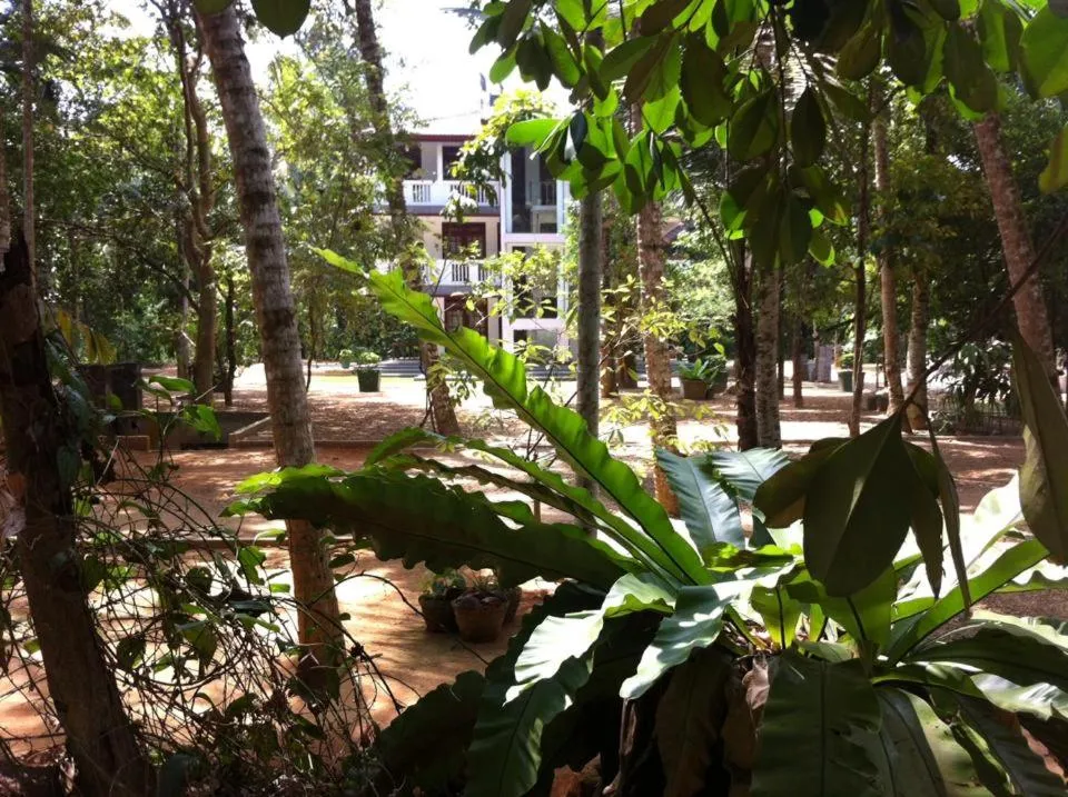 Garden in Gem Field Rest
