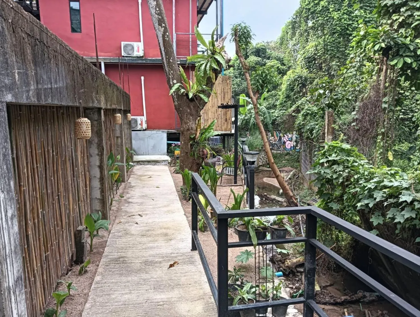 White Jail at Koh Tao Hostel