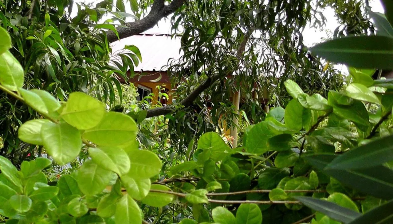 Garden in Sunntop Cabana
