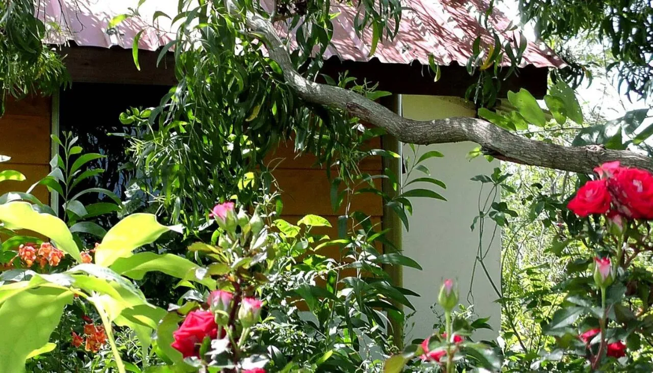 Garden in Sunntop Cabana