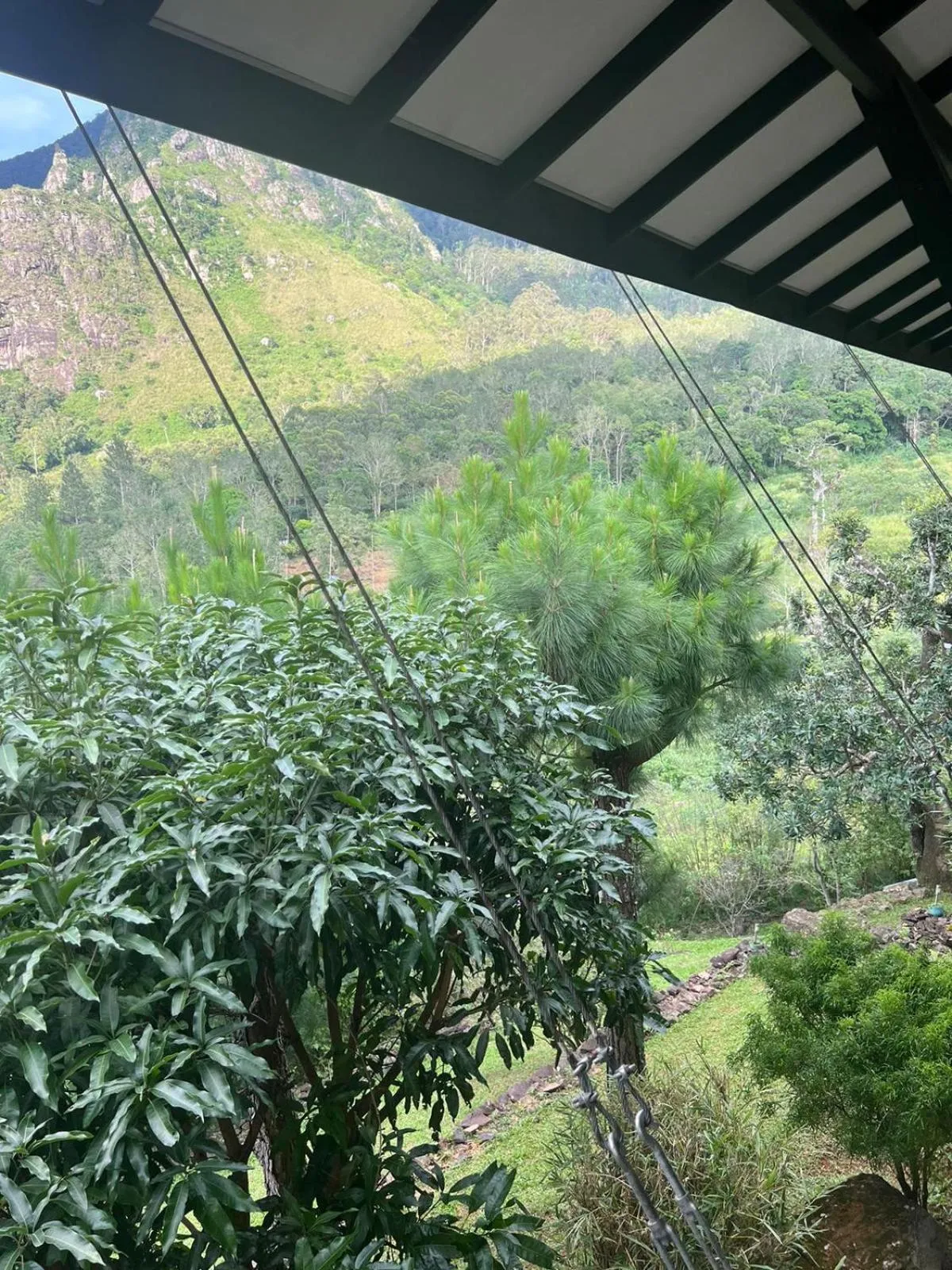 Mountain view in Grace Holiday Bungalow
