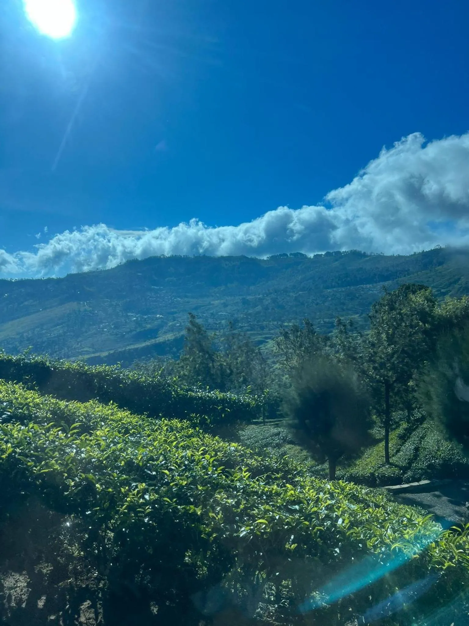 Mountain view in Grace Holiday Bungalow