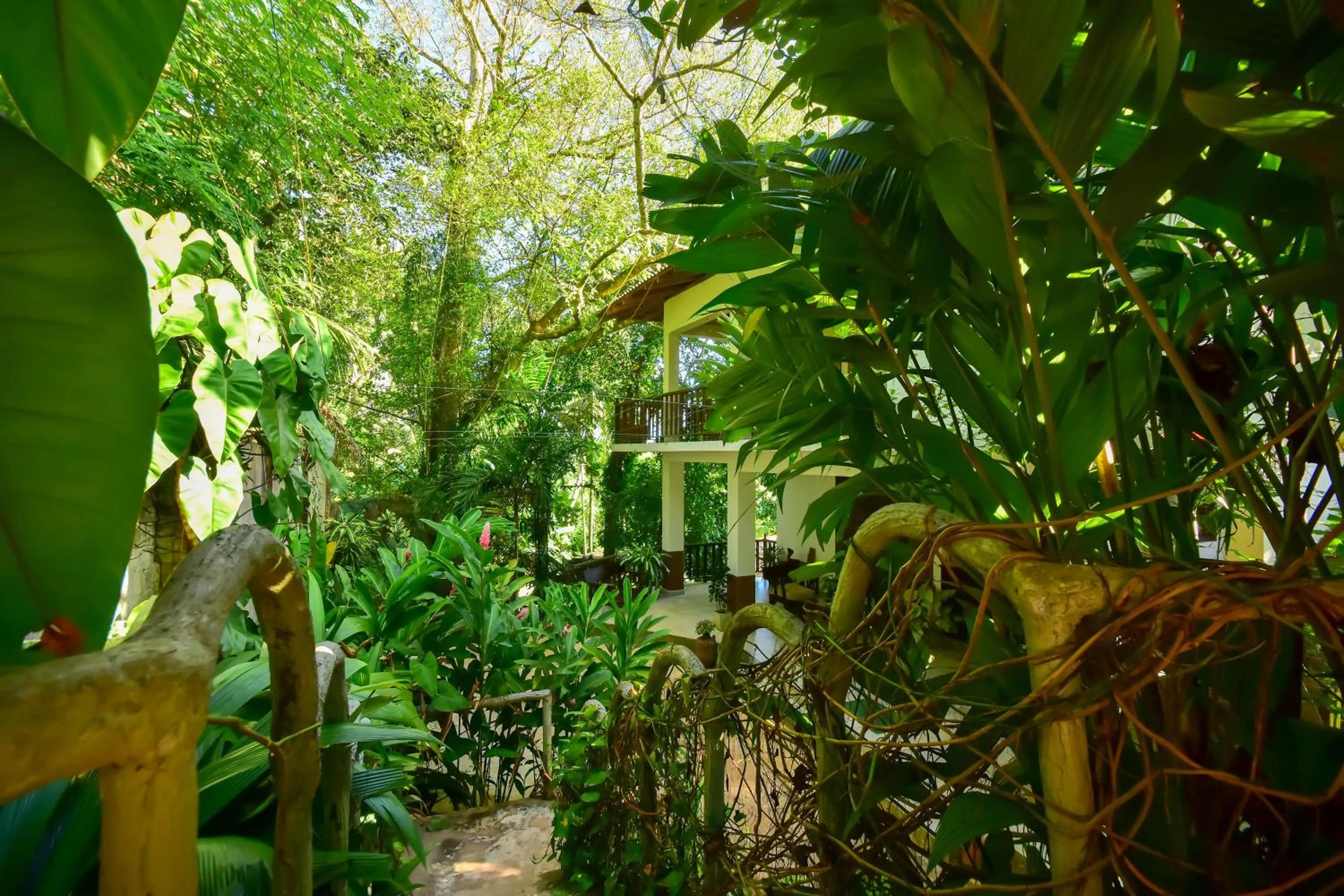 Day in Jungle Villa - Induruwa