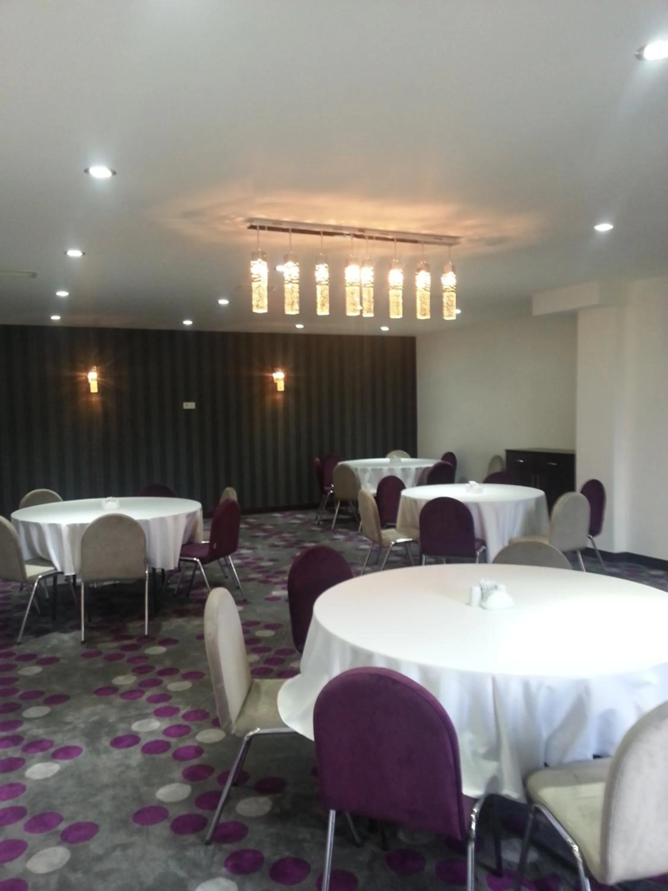 Meeting/conference room in Hande Hotel