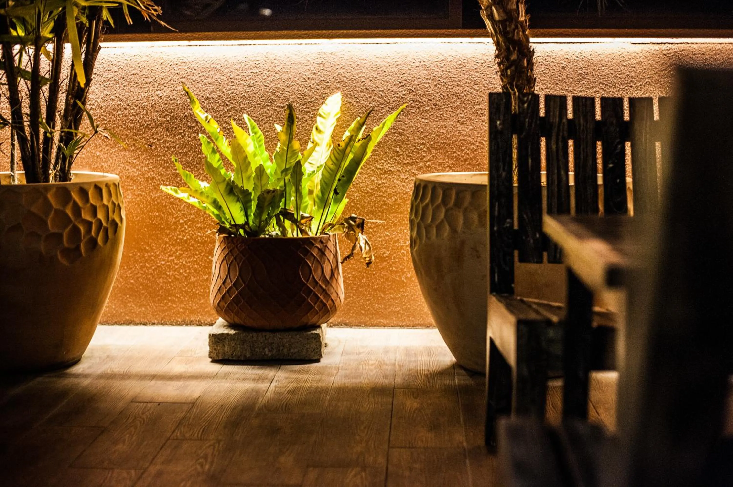 Patio in Dreamer Boutique Hotel