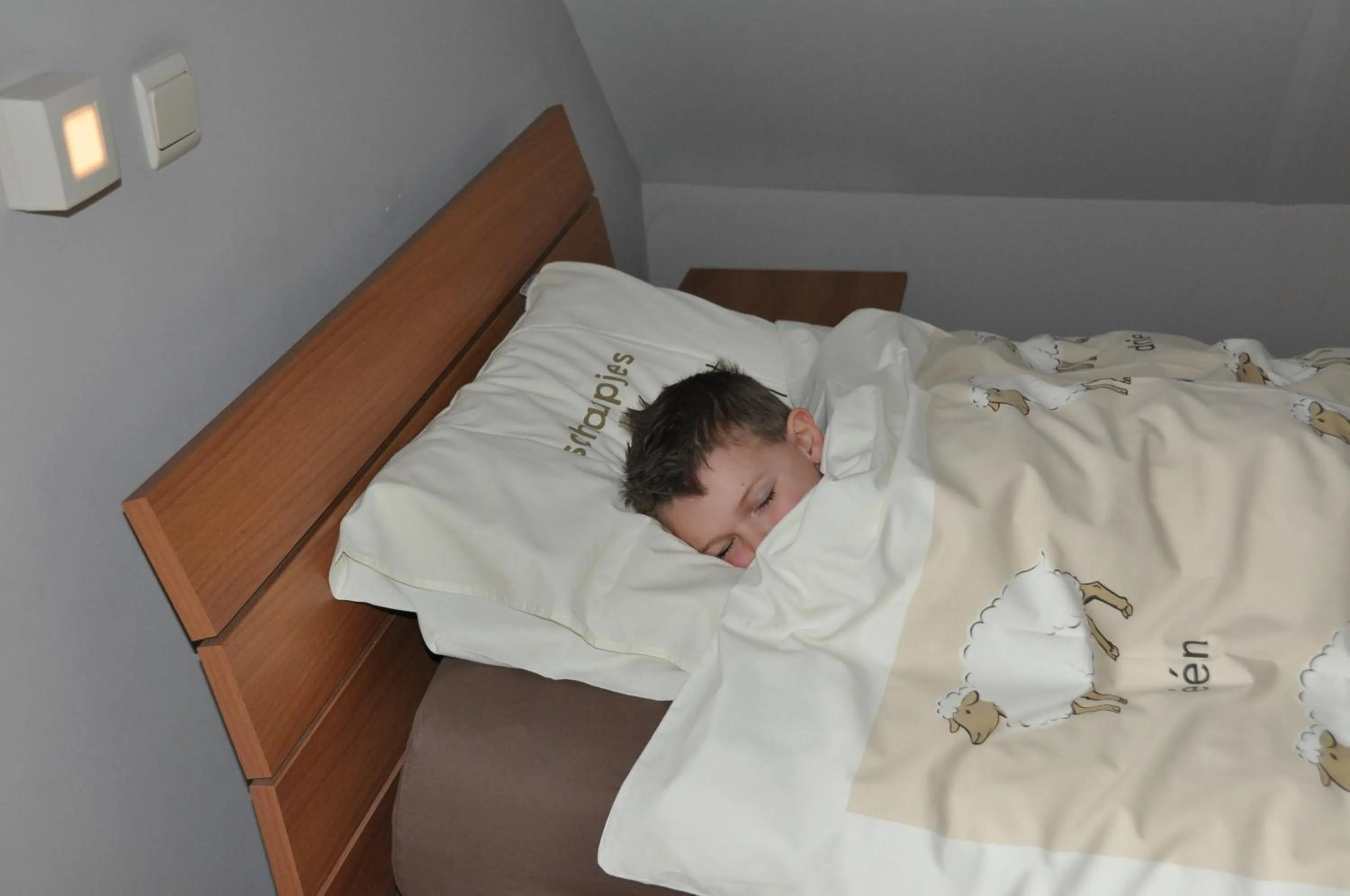 Bed in B&B Hoeve de Schapenkop