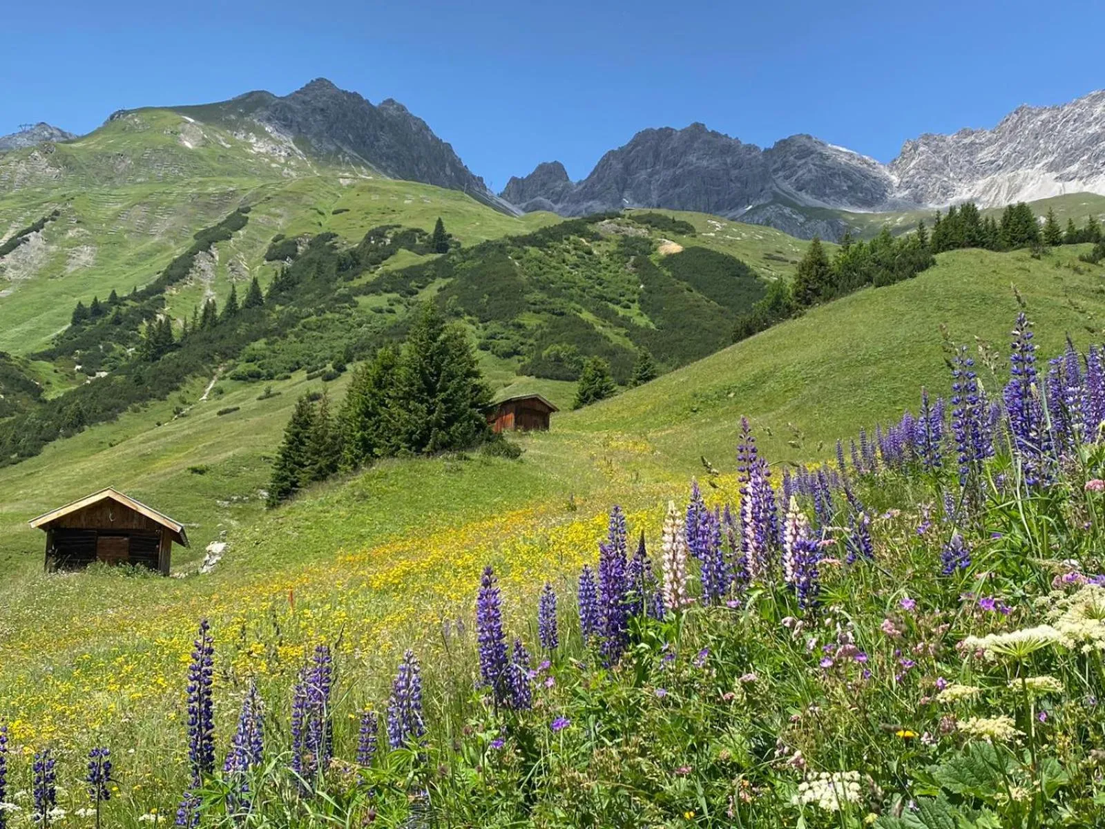 Ibex Lodge