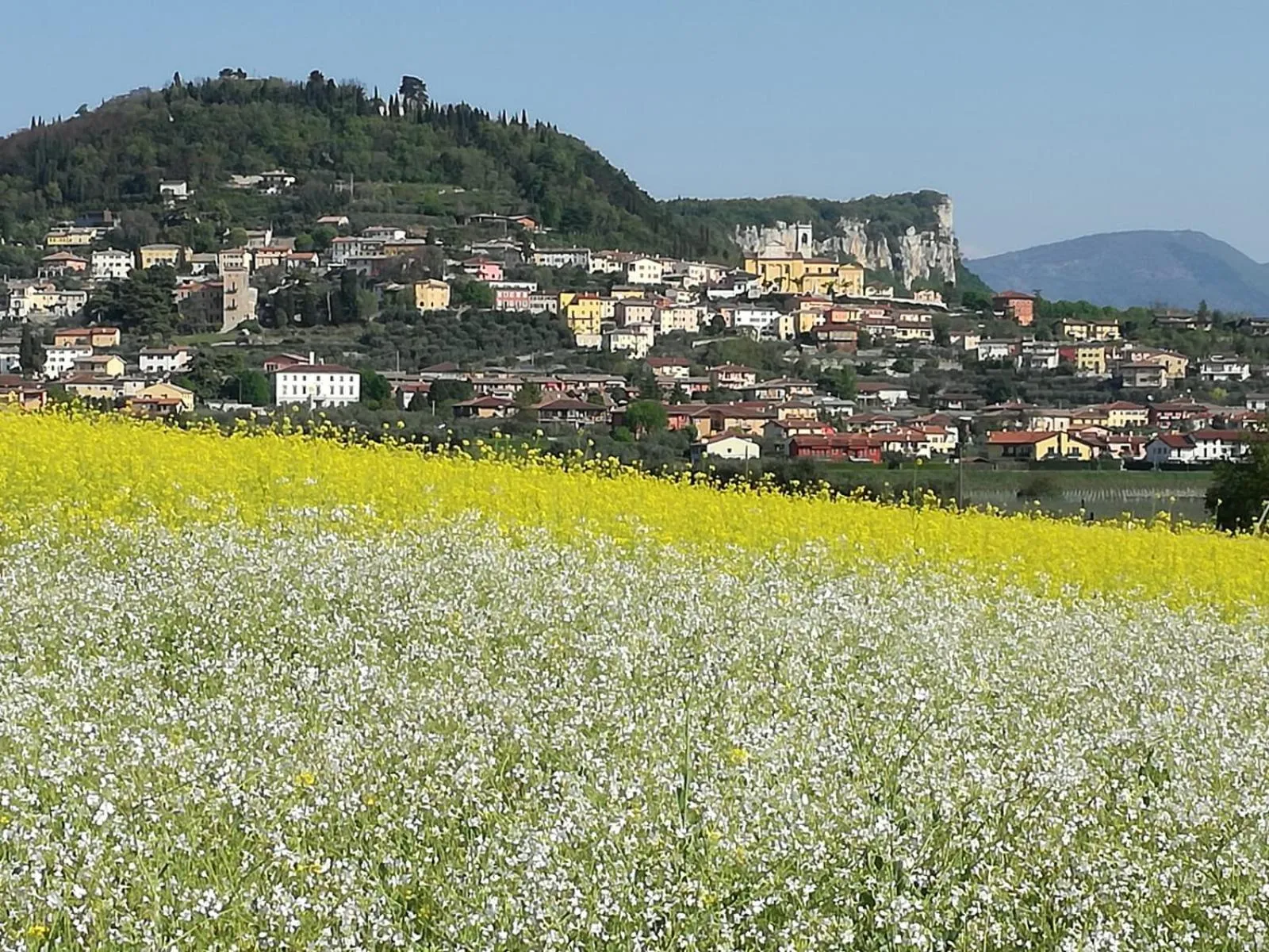 Natural landscape in B&B Susanna