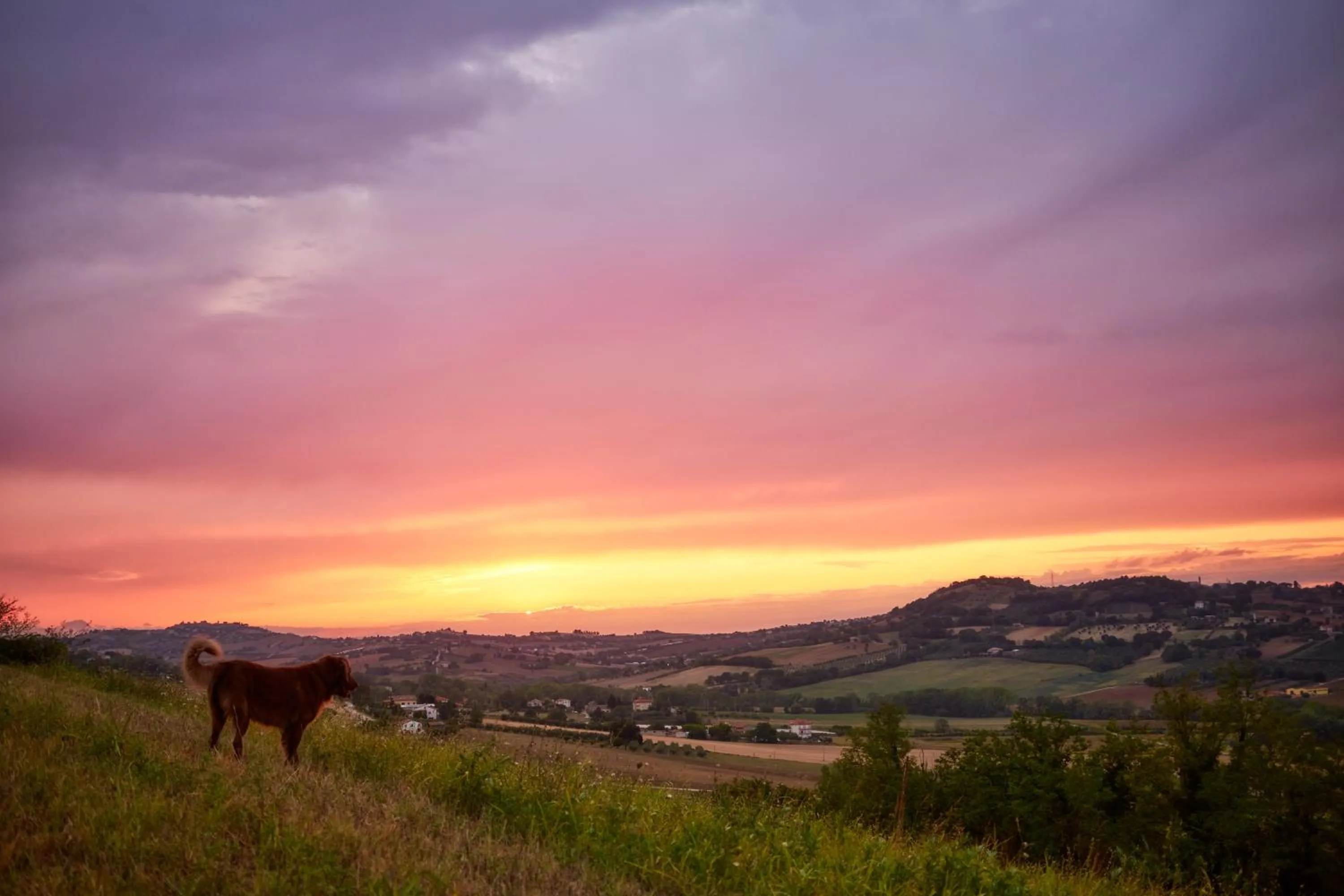 Sunset in Tierra Cristiana