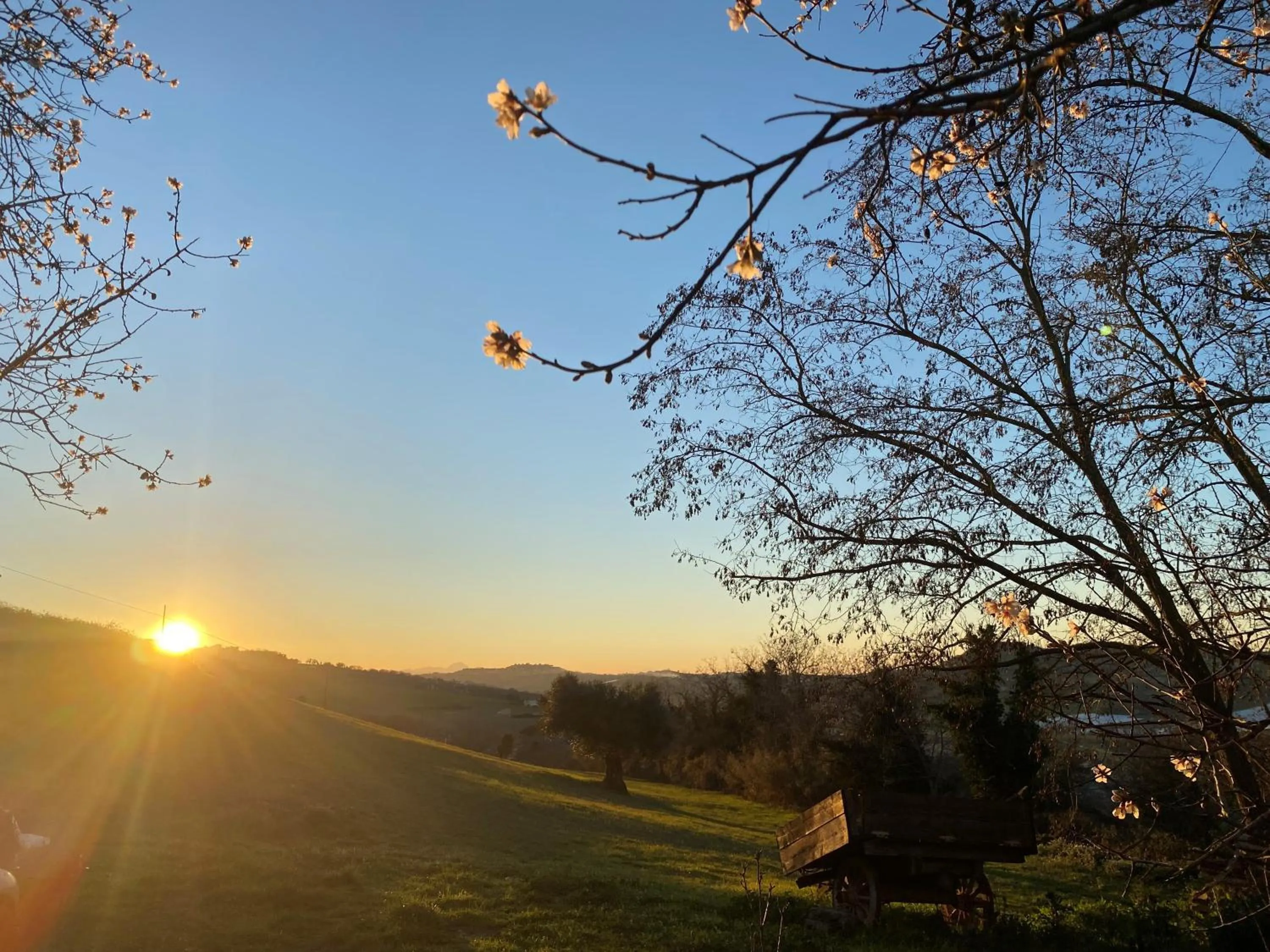 Spring in Tierra Cristiana