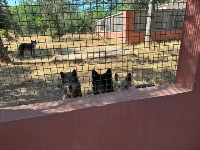 Quadruple Room with Garden View in L'hôtel du Bastier Quadruple Room with Garden View in L'hôtel du Bastier