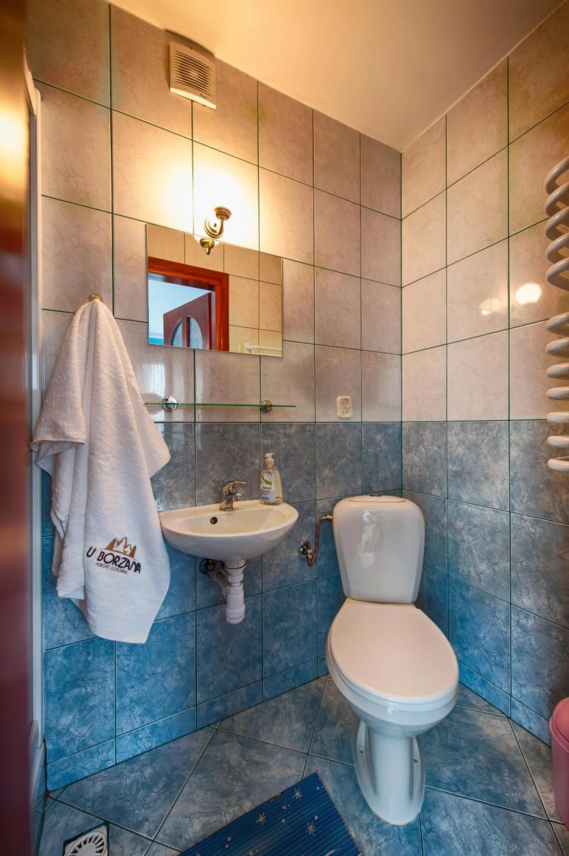 Bathroom in Pokoje u Borzana