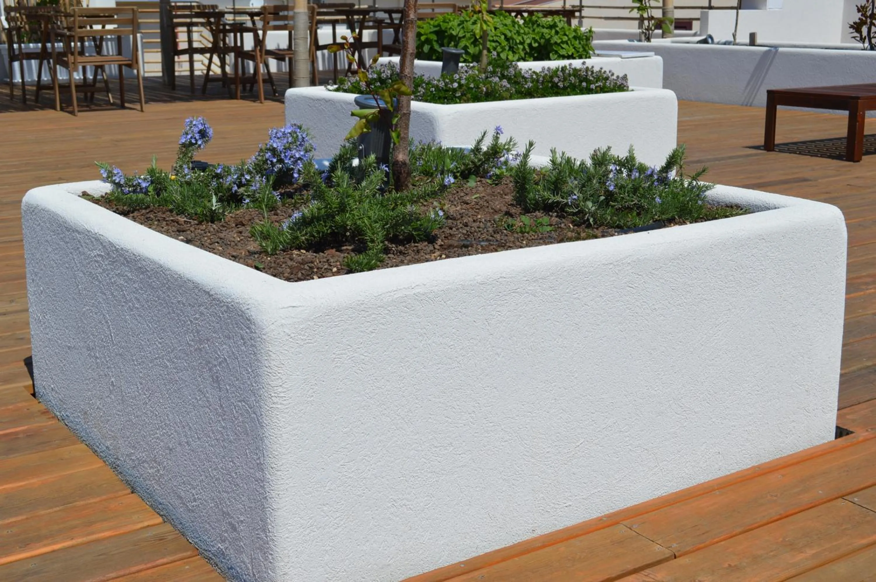 Sempreverde Atelier B&B