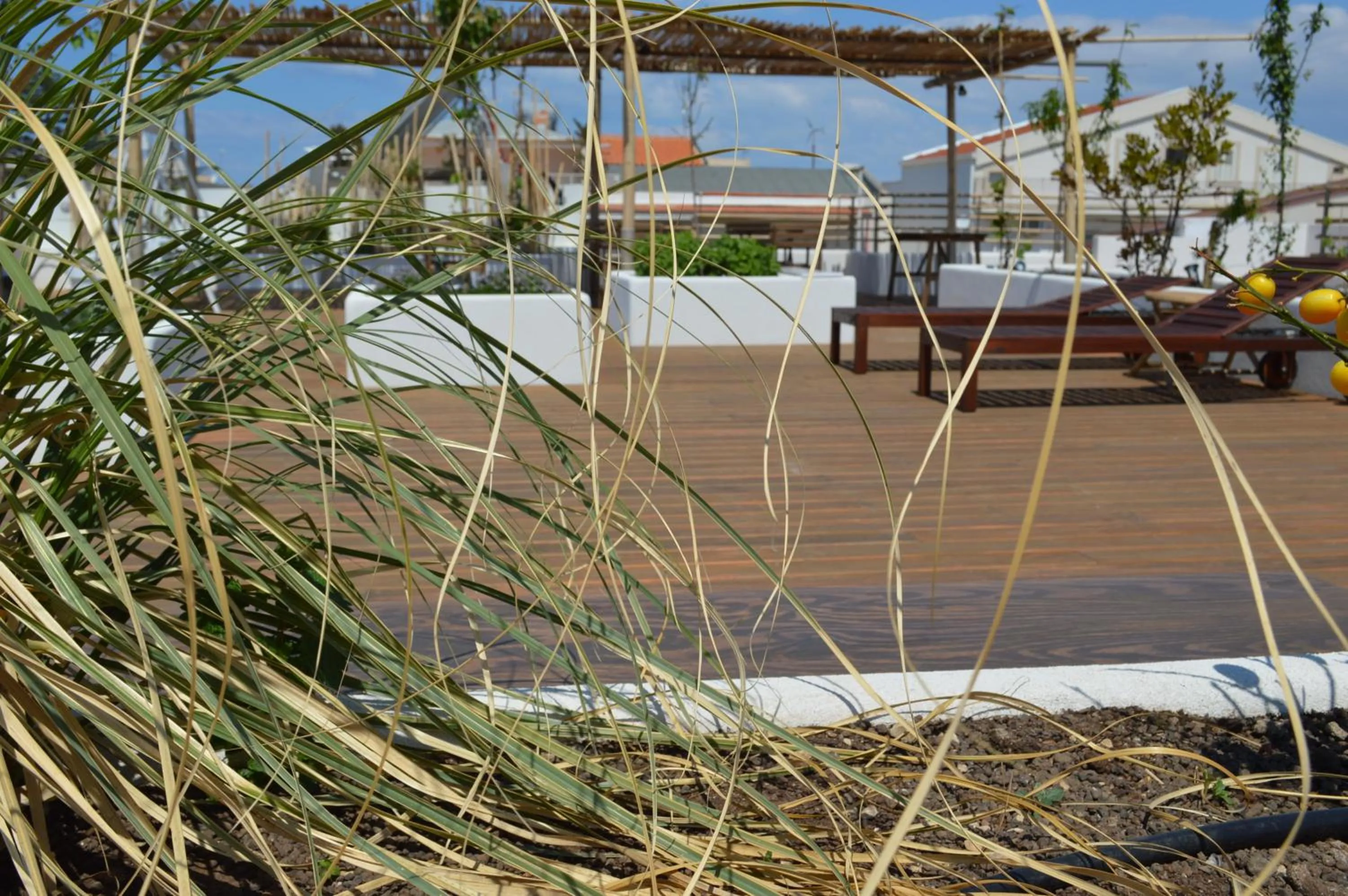 Sempreverde Atelier B&B