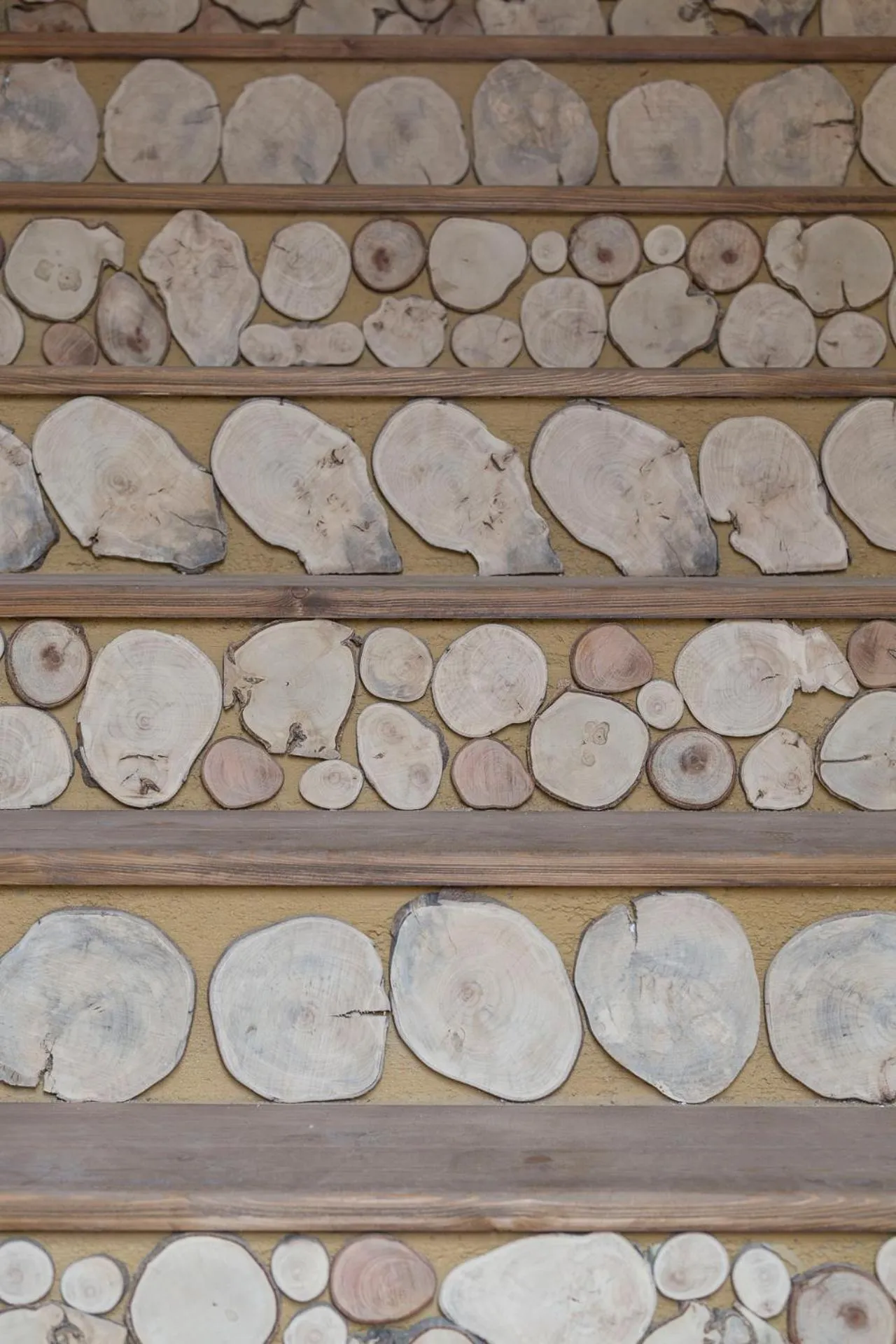 Property building in Sempreverde Atelier B&B