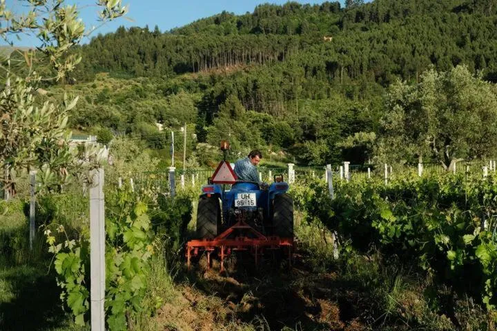 Quinta de Vodra