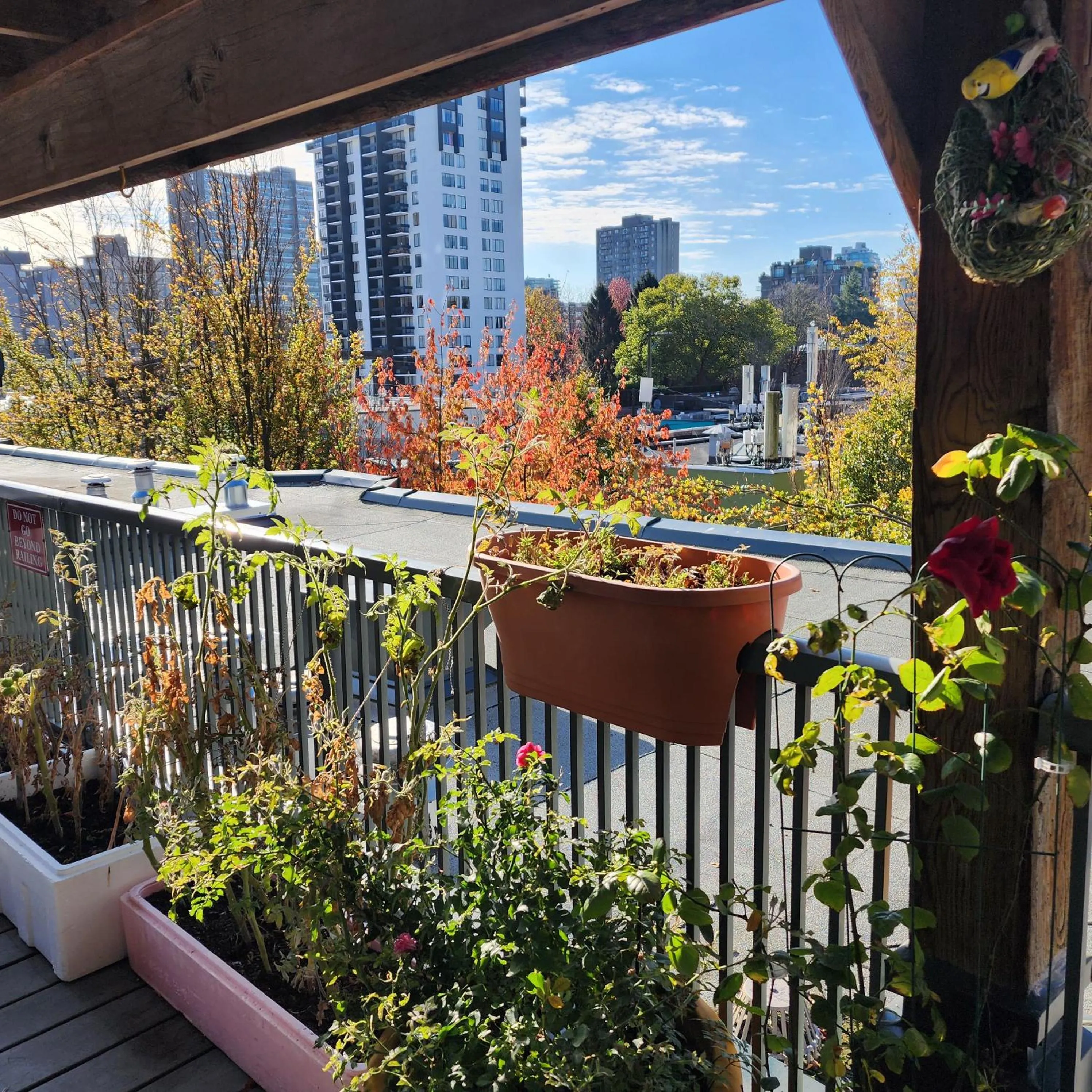 Balcony/Terrace in Times Square Suites Hotel