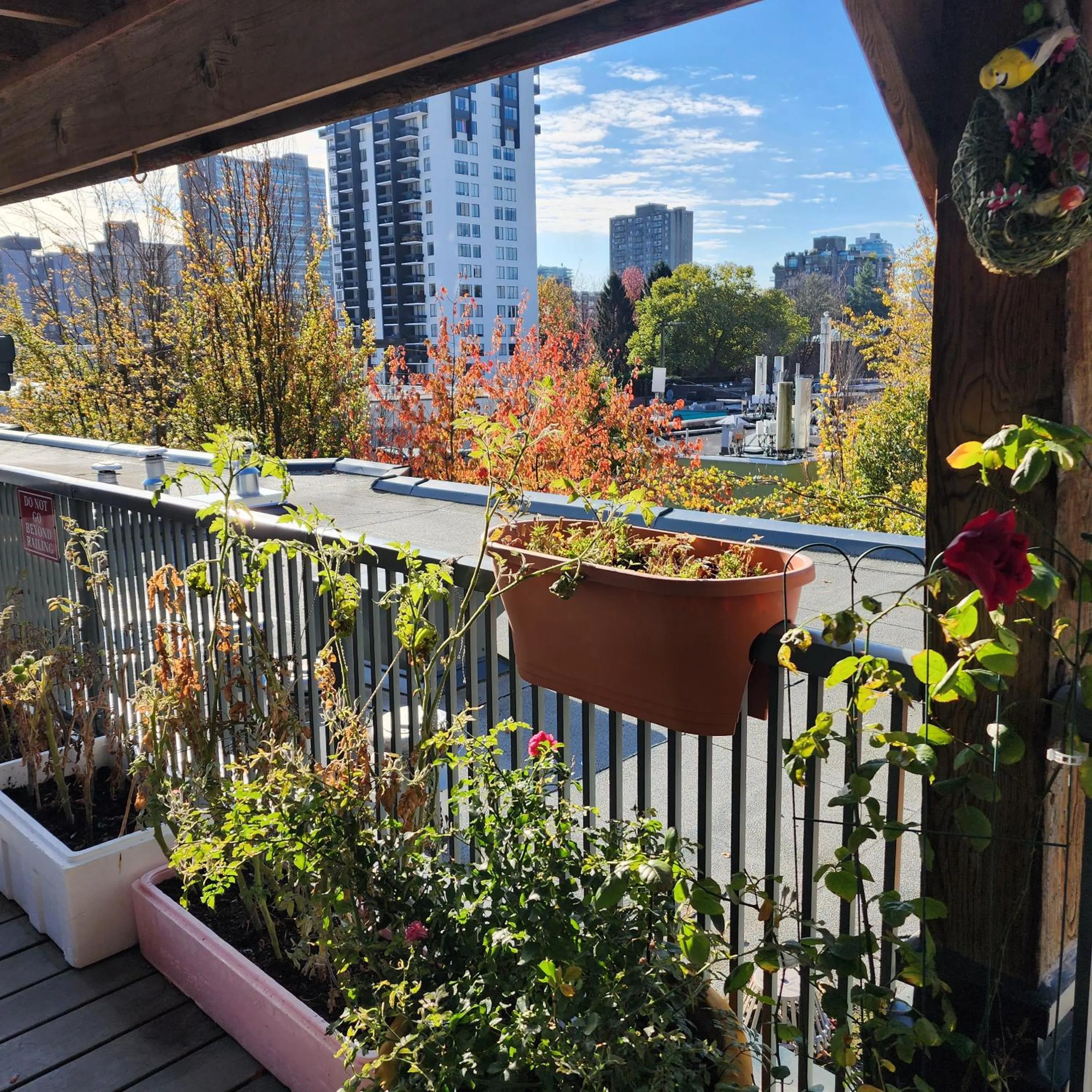 Balcony/Terrace in Times Square Suites Hotel