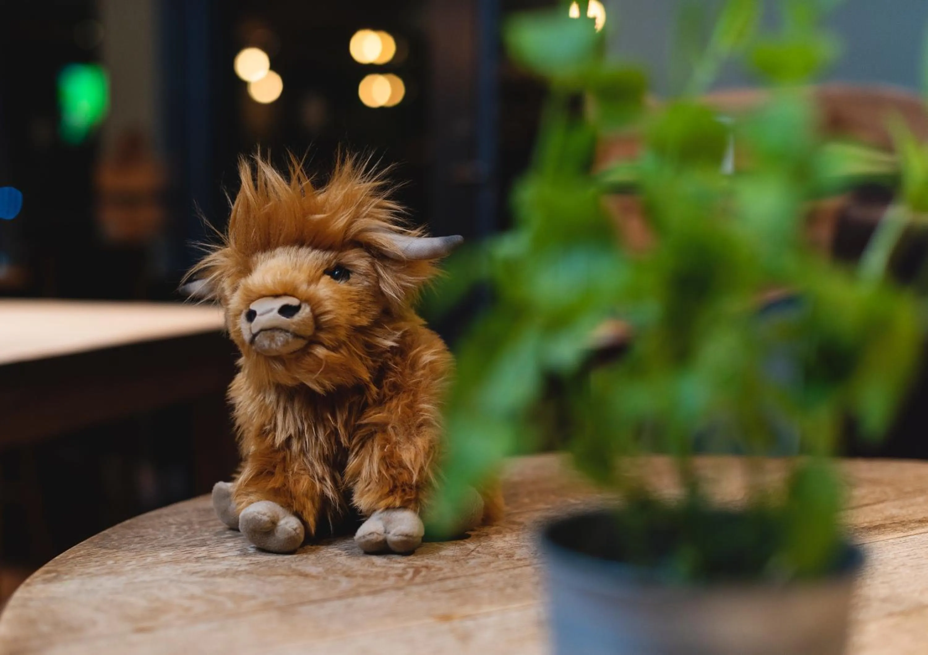 Animals in Ben Cruachan Inn - Restaurant, Pub with Rooms