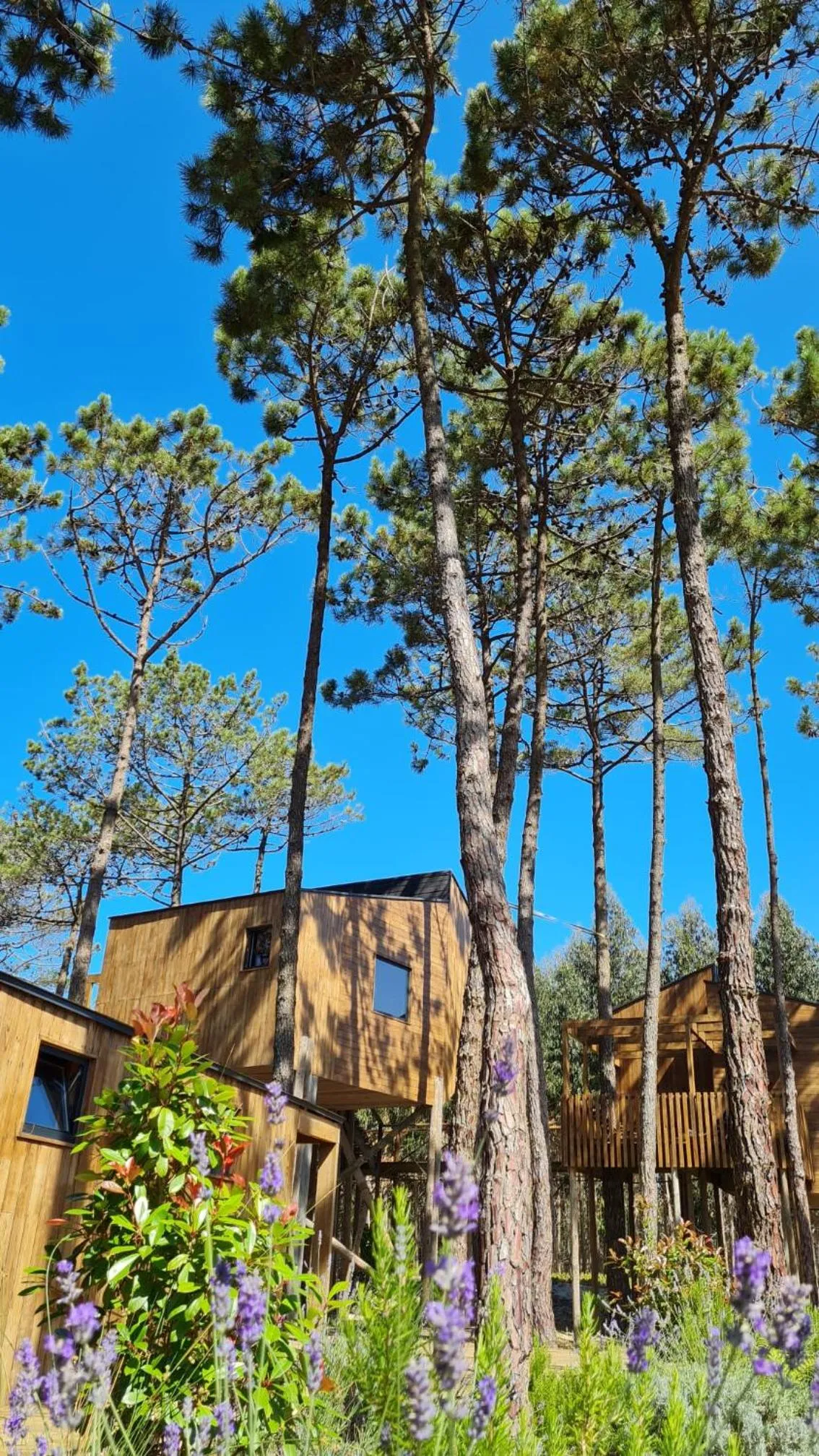 Property building in Bukubaki Eco Surf