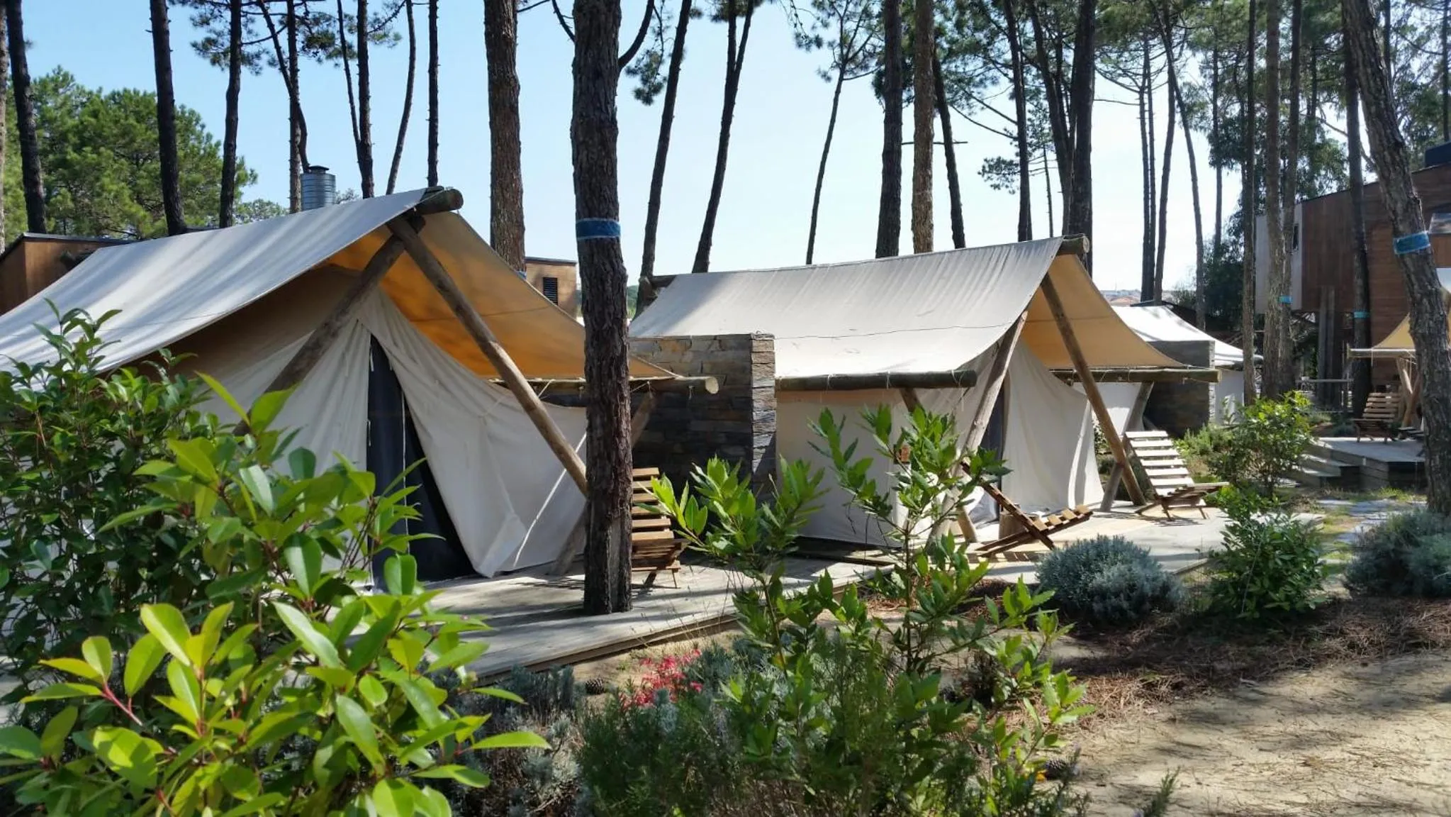 Garden in Bukubaki Eco Surf