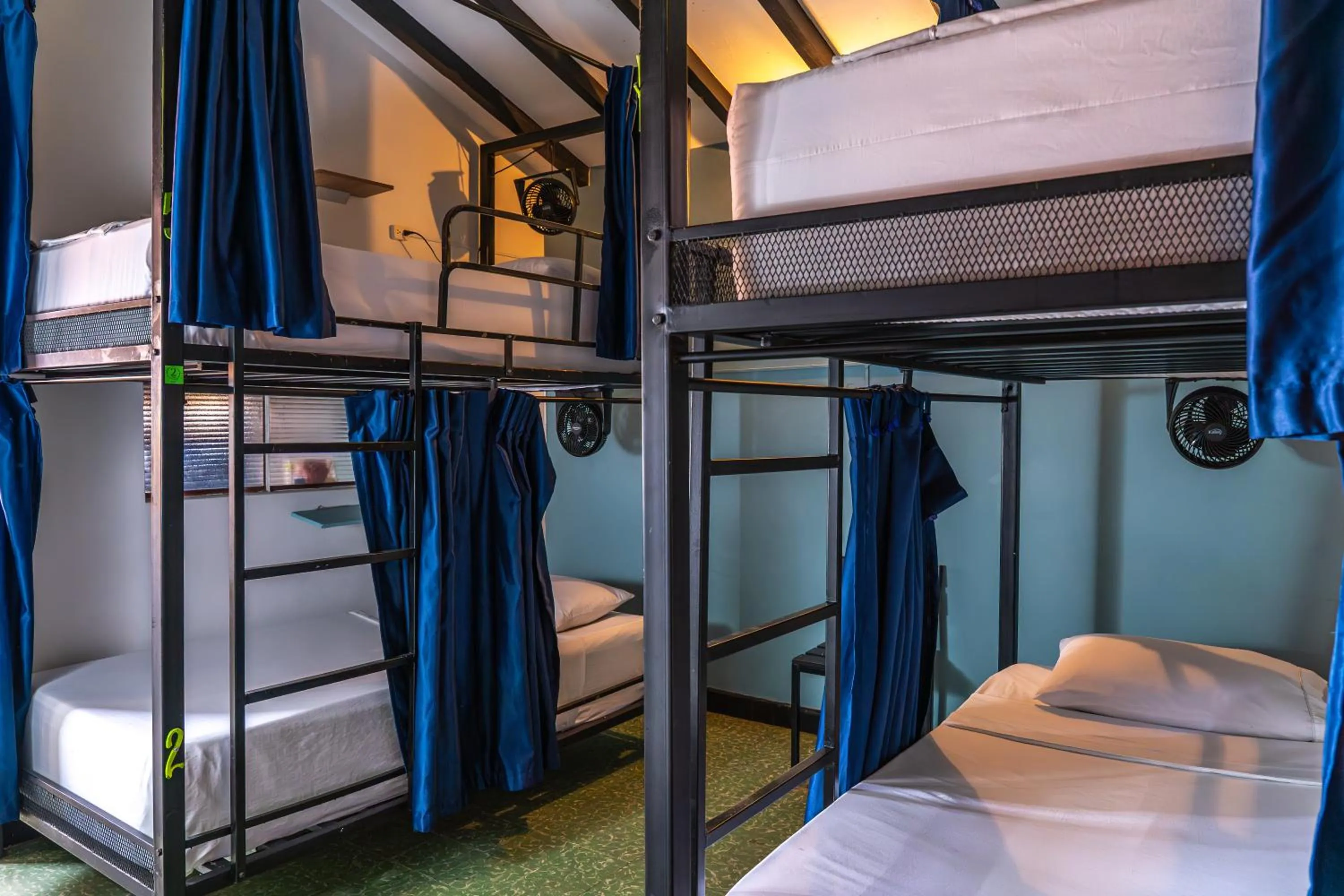 Photo of the whole room, Bed in Traveler Hostel