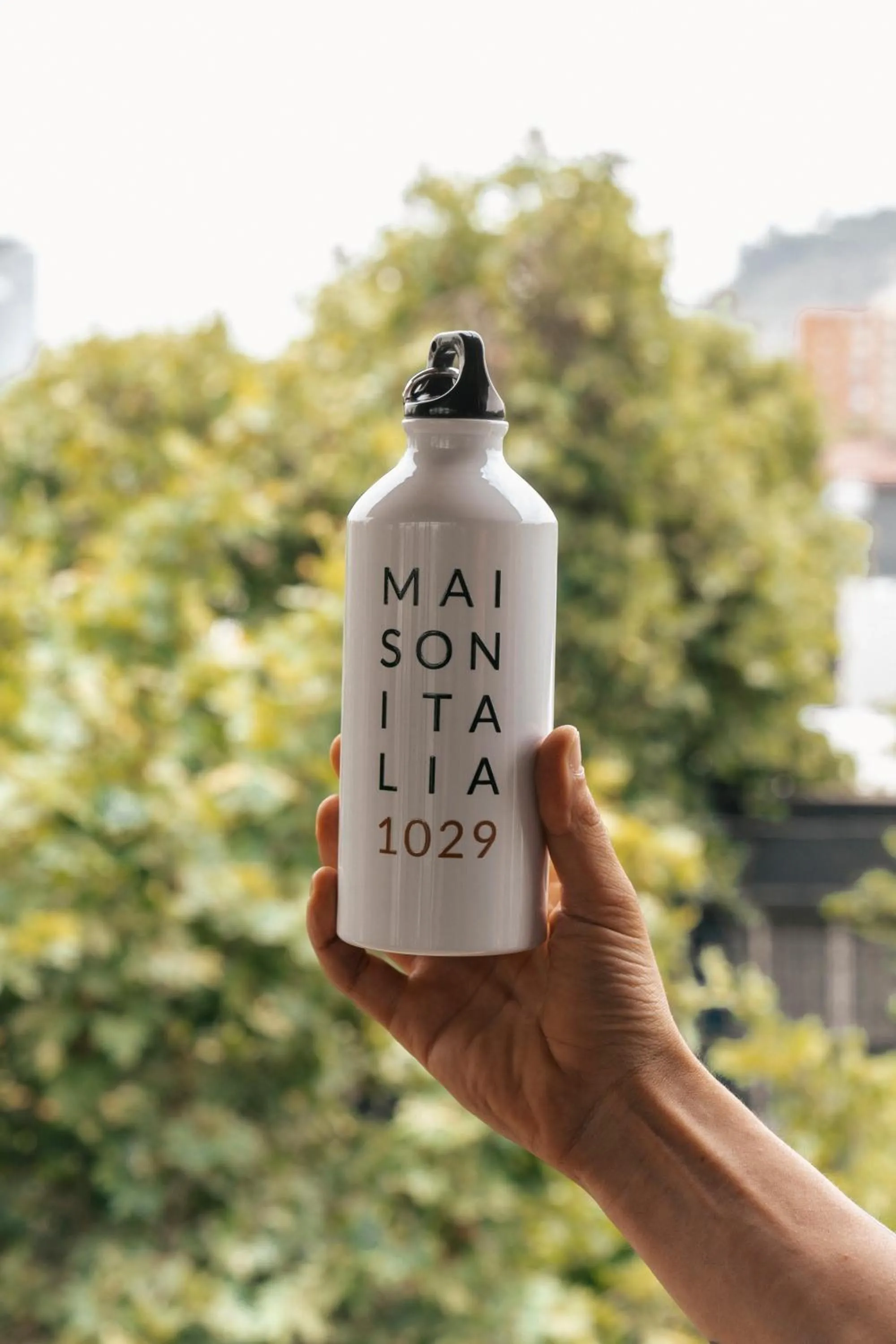 Decorative detail in Maison Italia 1029