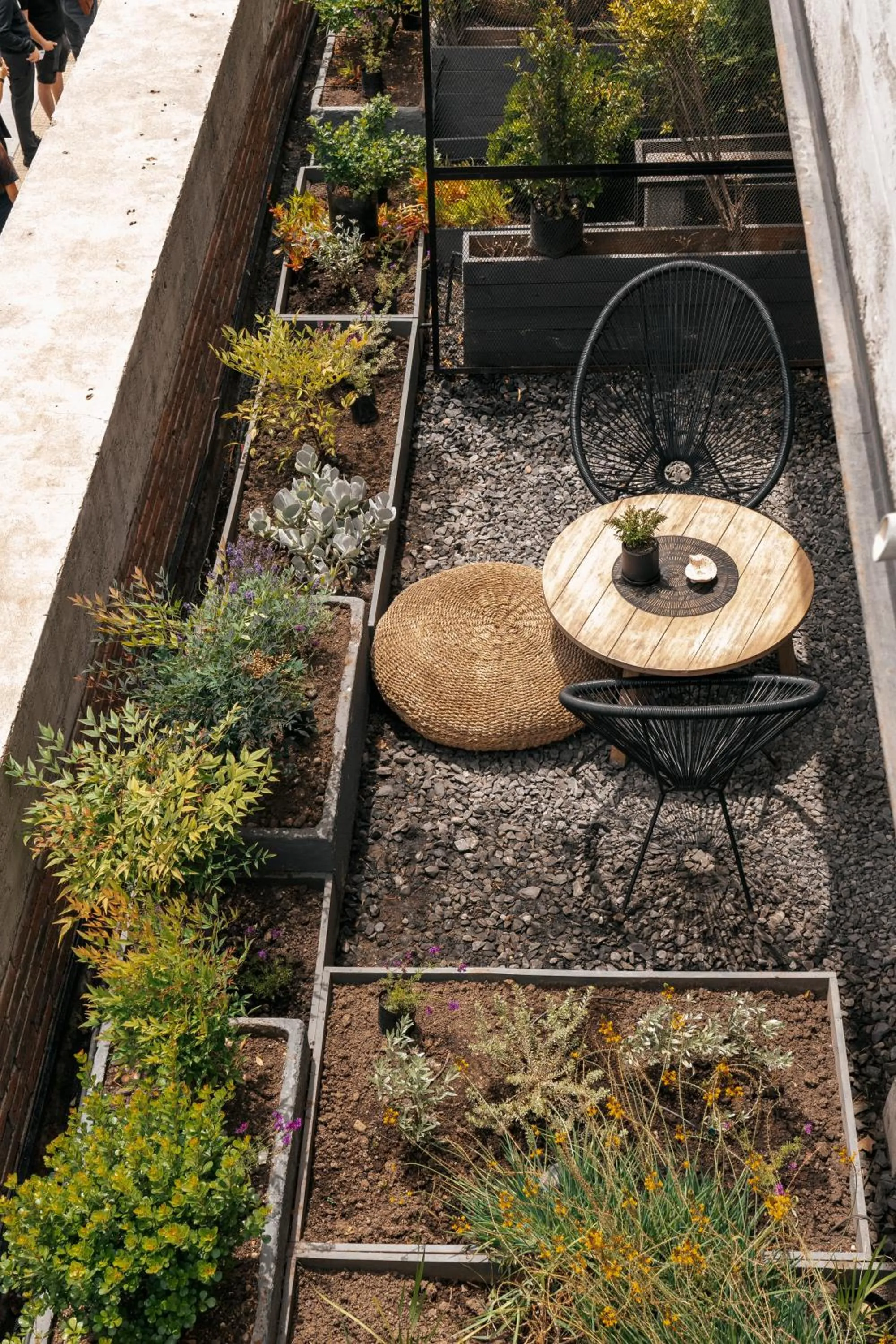 Garden view in Maison Italia 1029