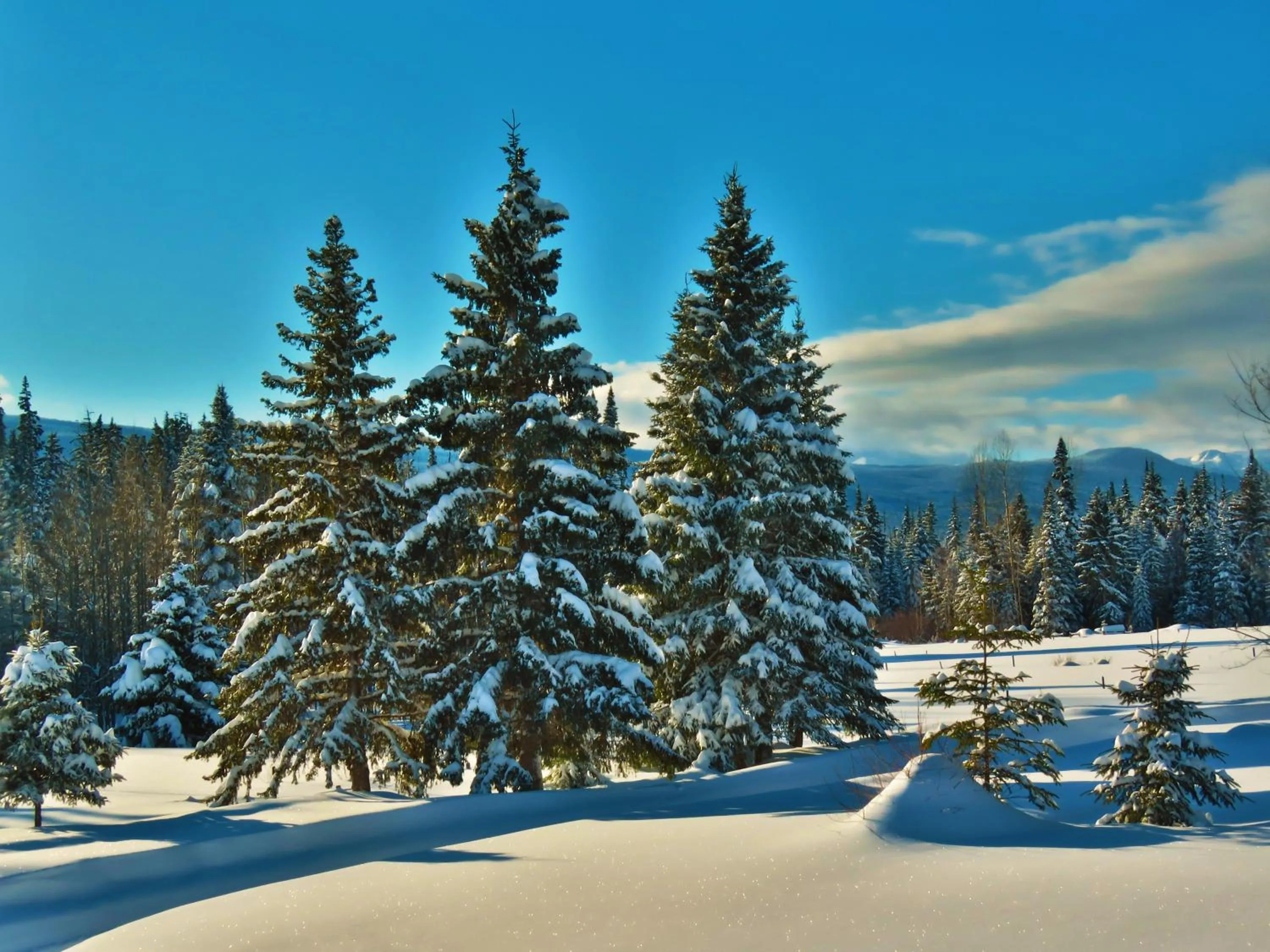 Mountain view in Rocky Ridge Resort-BC