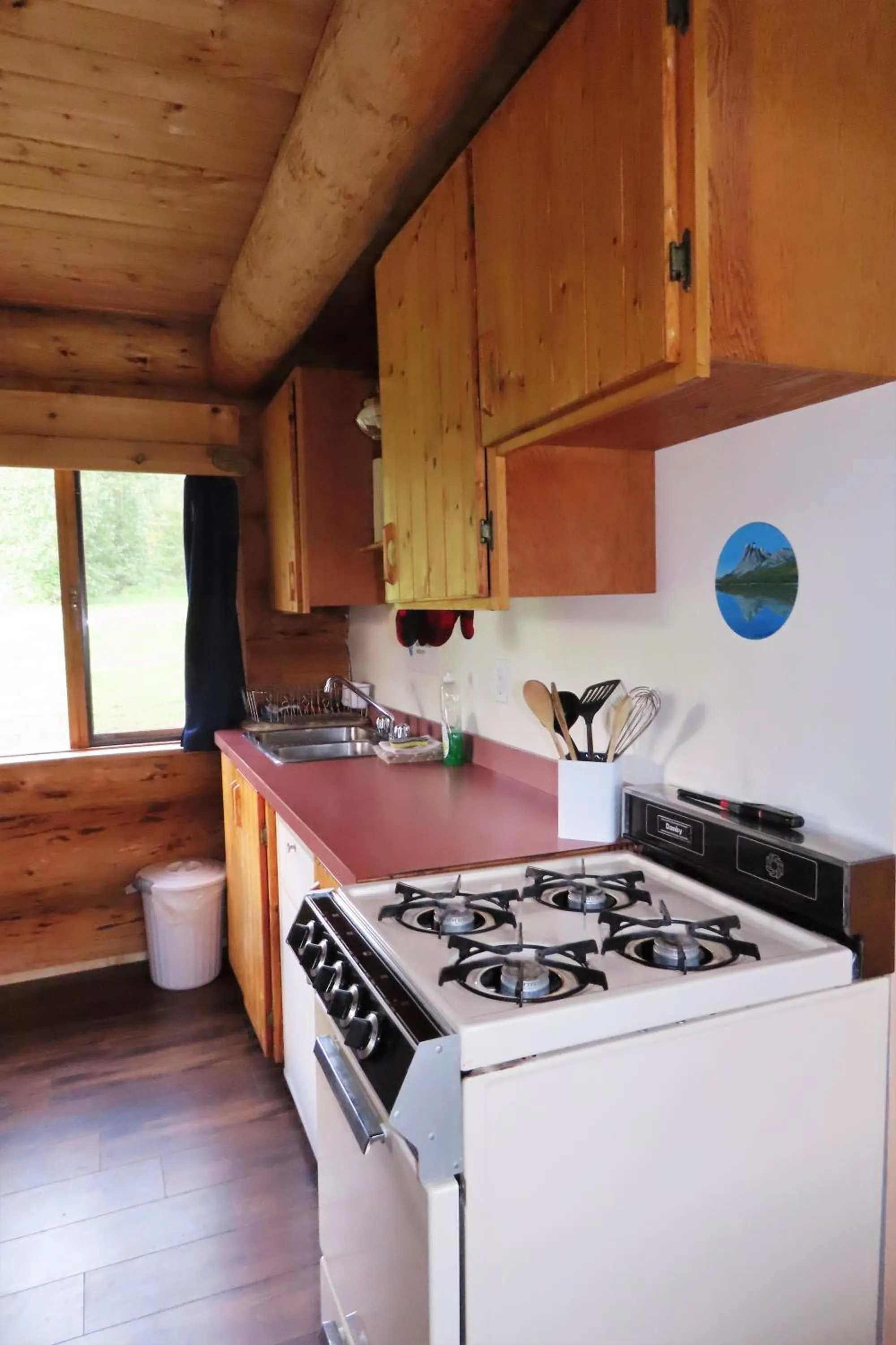 Kitchen or kitchenette in Rocky Ridge Resort-BC