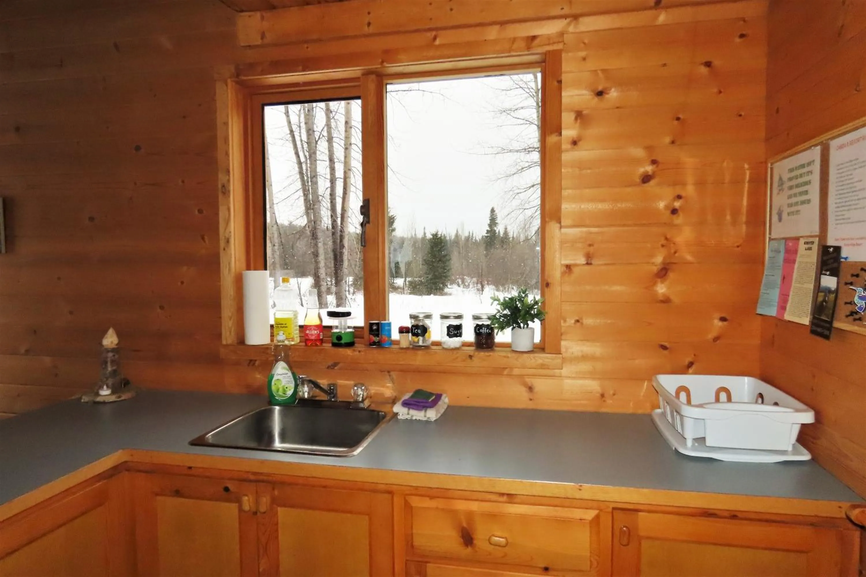 Kitchen or kitchenette in Rocky Ridge Resort-BC