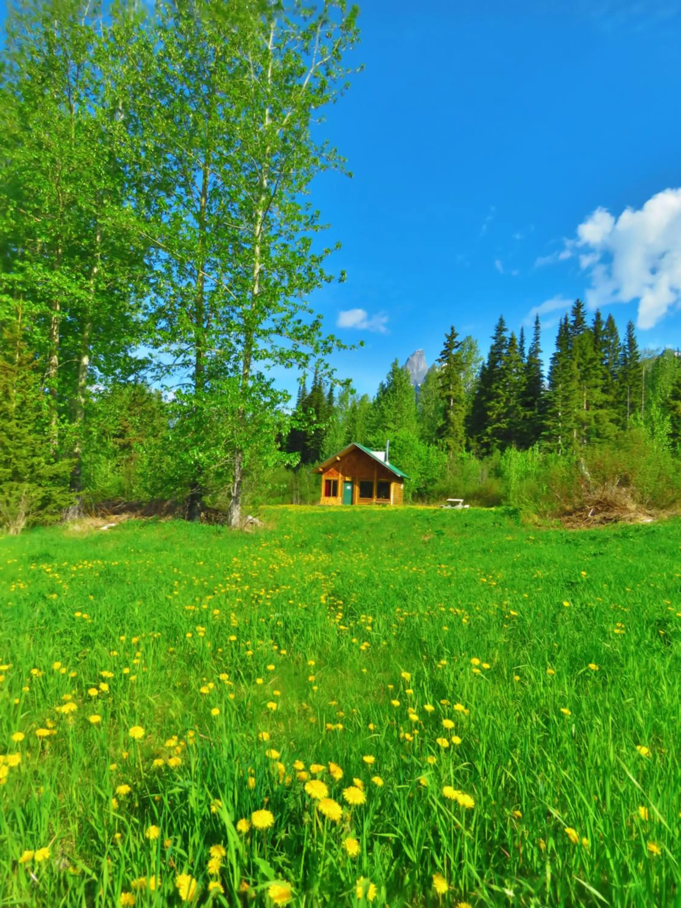 Garden view in Rocky Ridge Resort-BC
