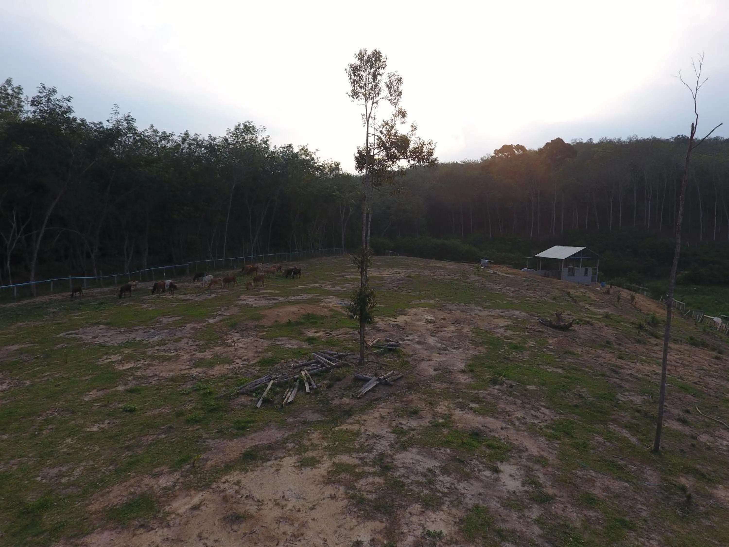 Natural landscape in Chalet Kampong Semawar