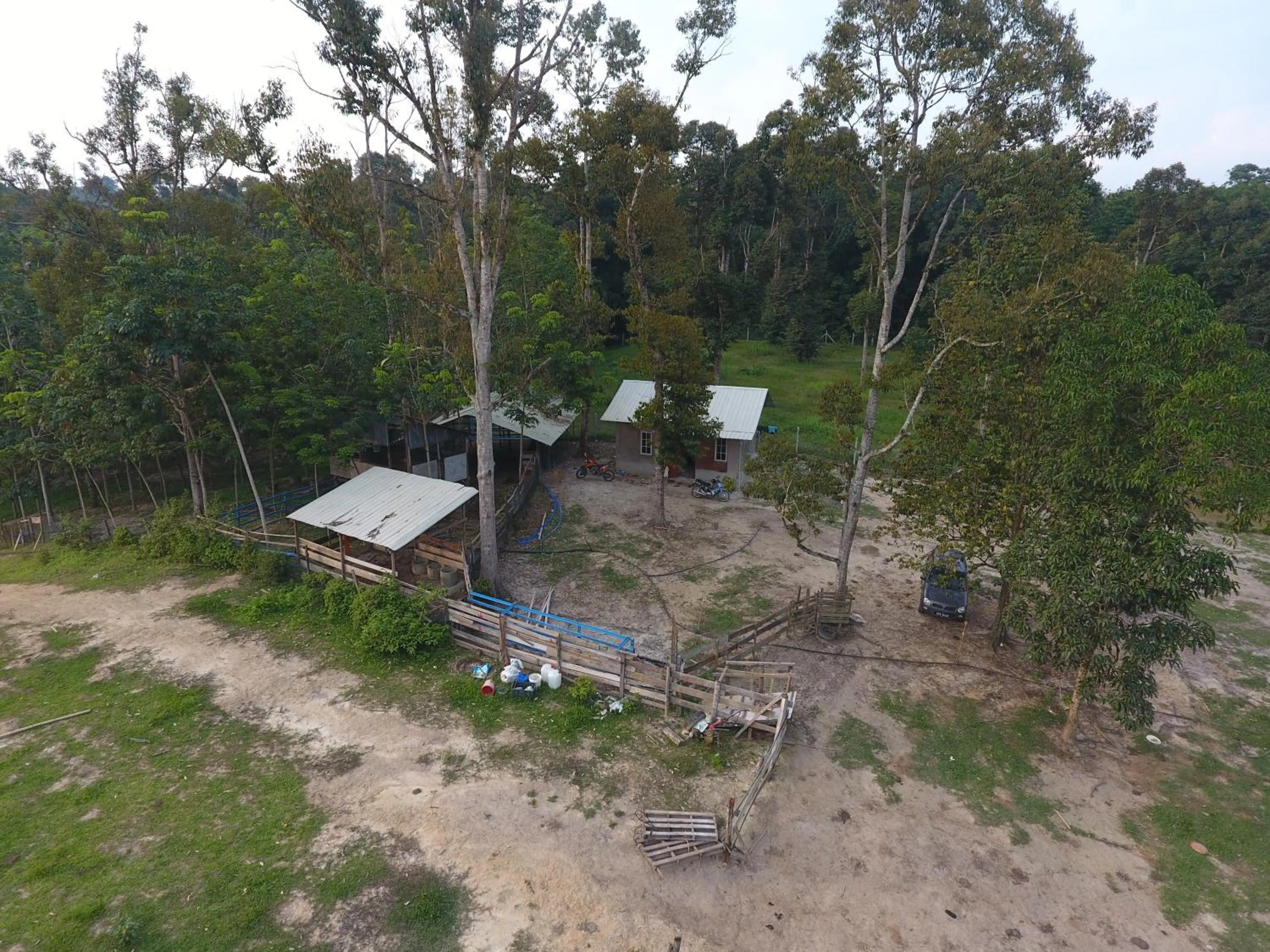 Bird's eye view in Chalet Kampong Semawar