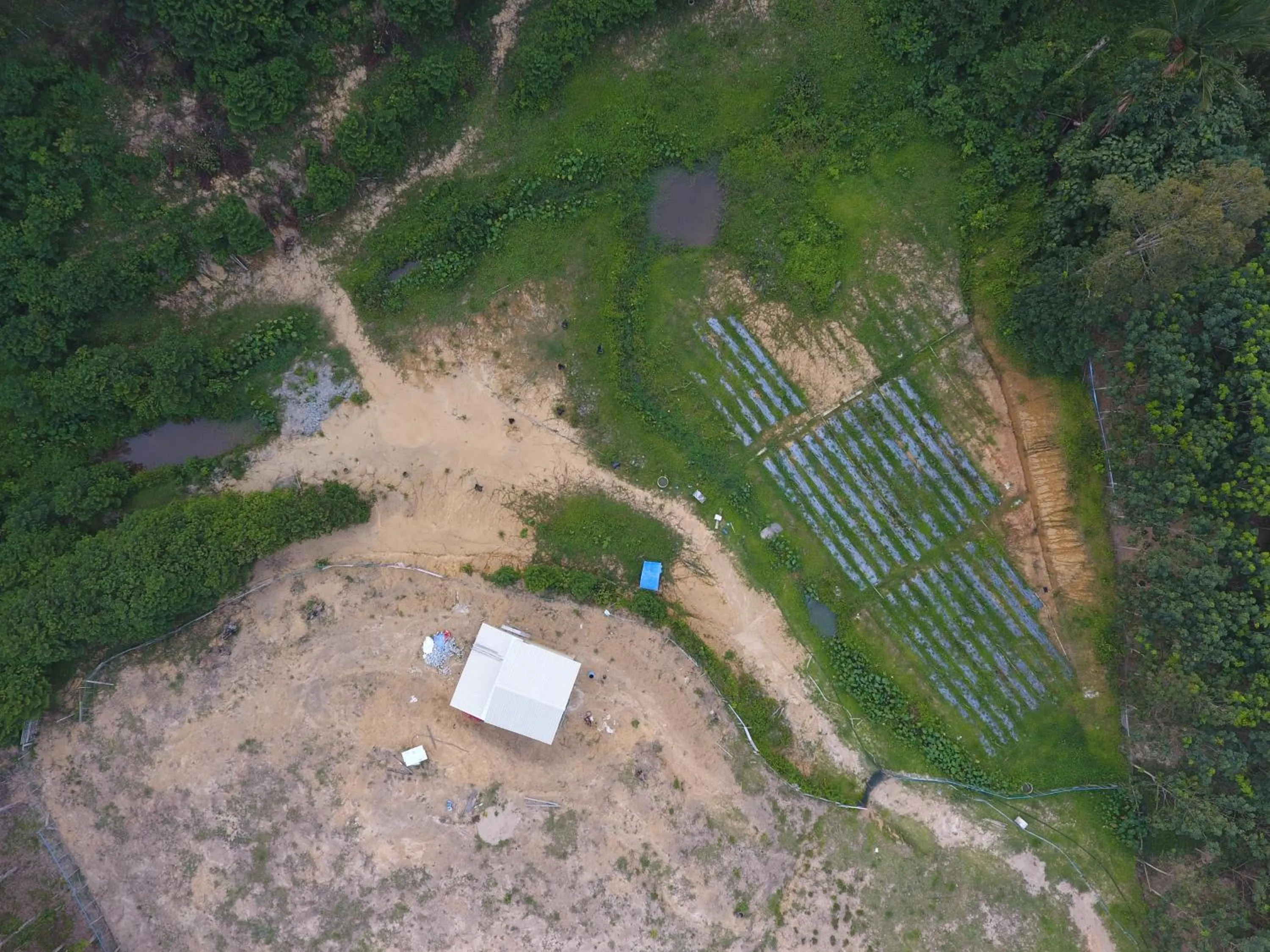 Bird's eye view in Chalet Kampong Semawar