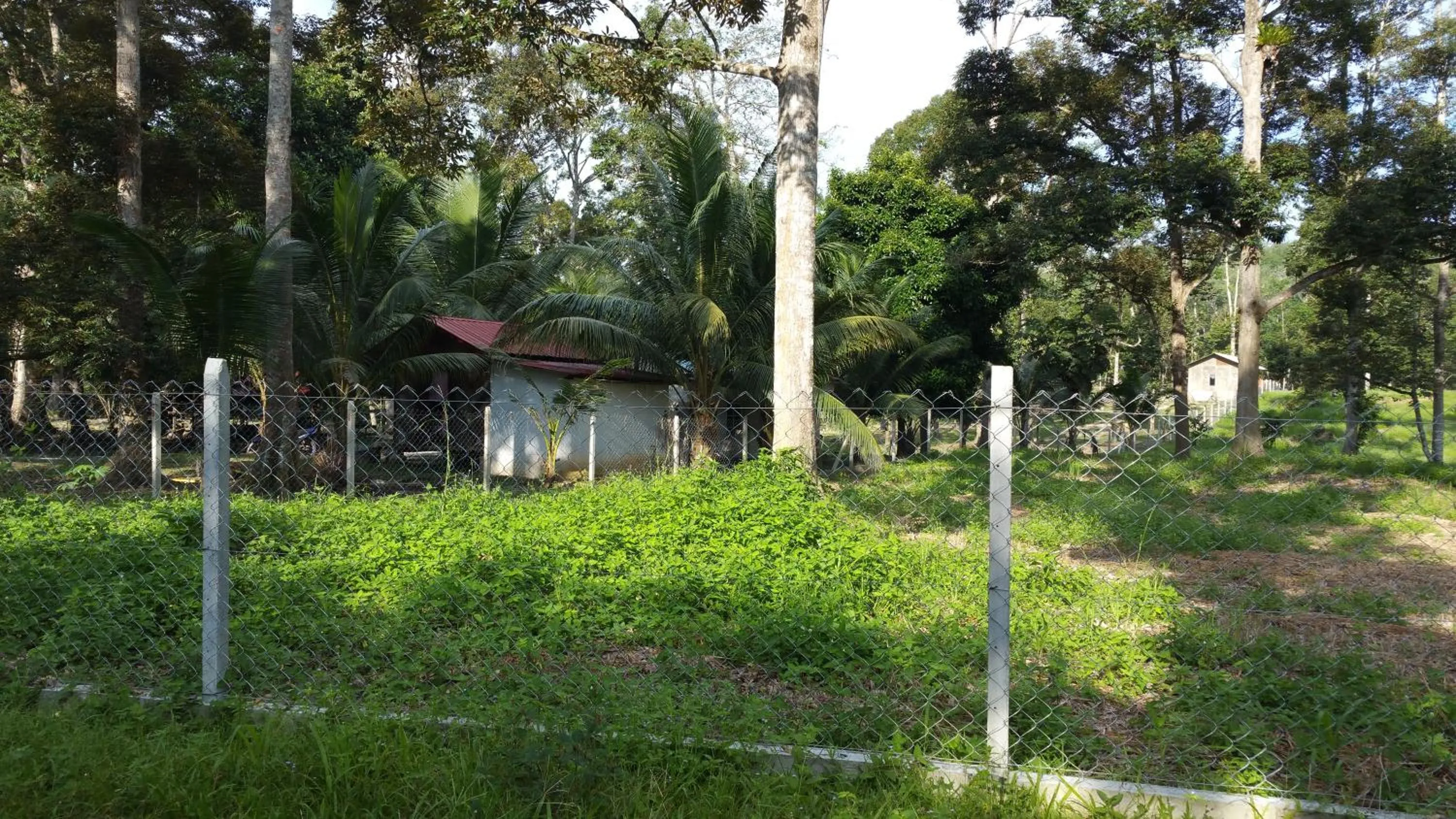 Natural landscape in Chalet Kampong Semawar
