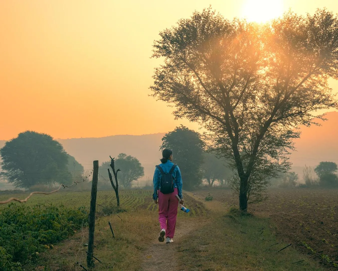 Natural landscape in Alila Fort Bishangarh Jaipur - A Hyatt Brand